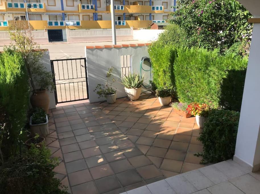 Family apartment with pool in Oliva Nova