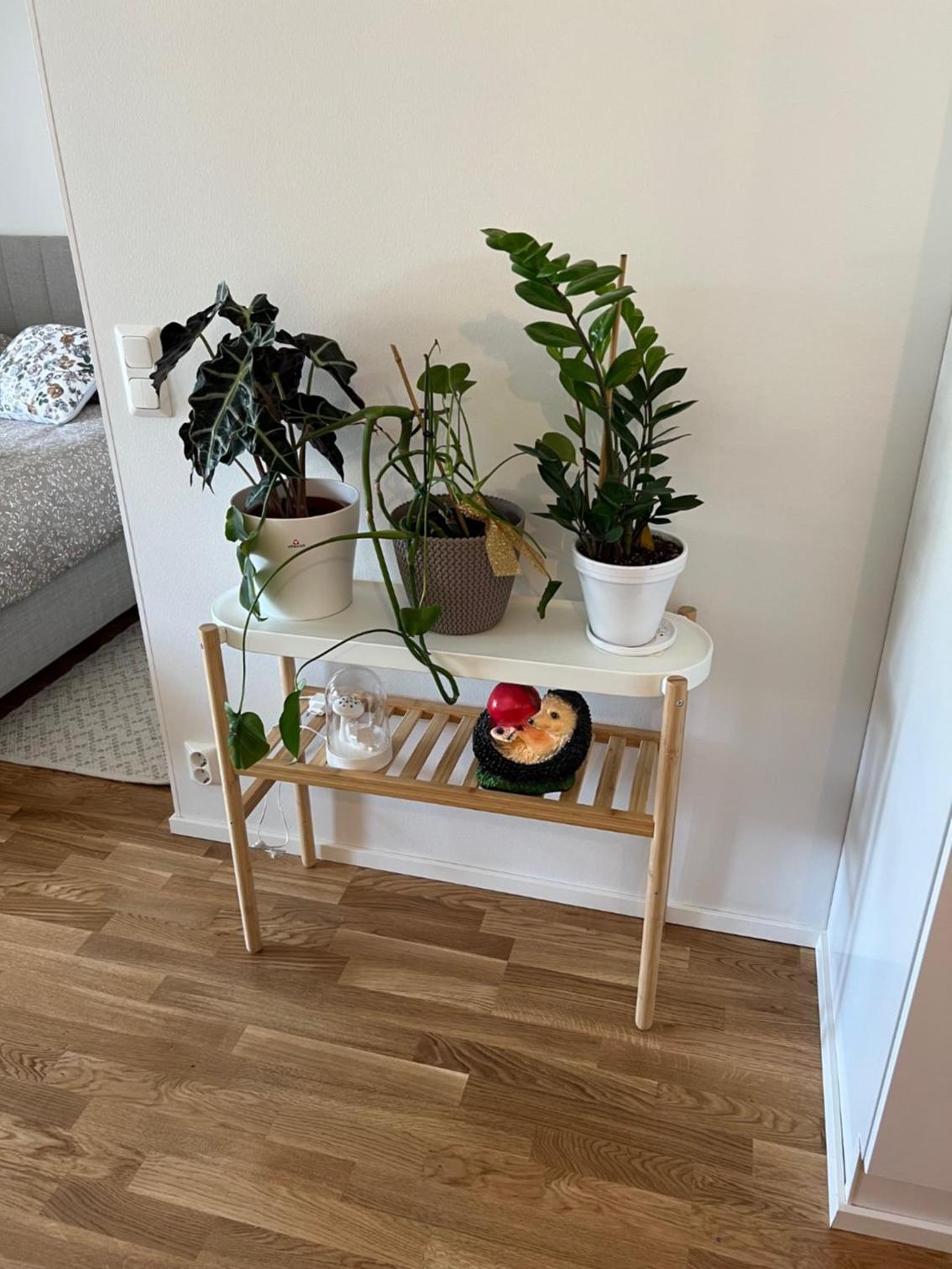 SiilinPiha central apartament Siilinjärvi
