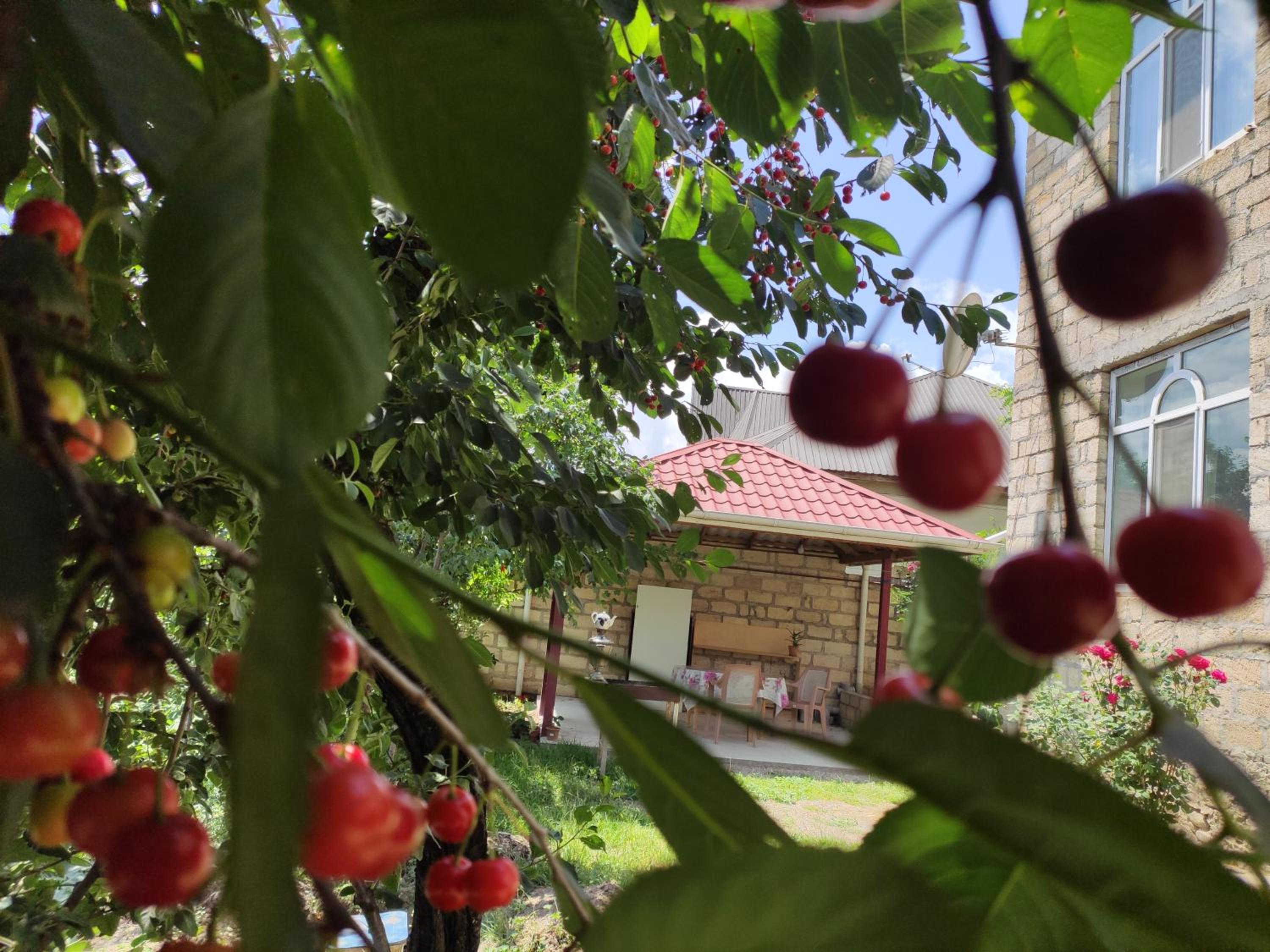 GUEST House