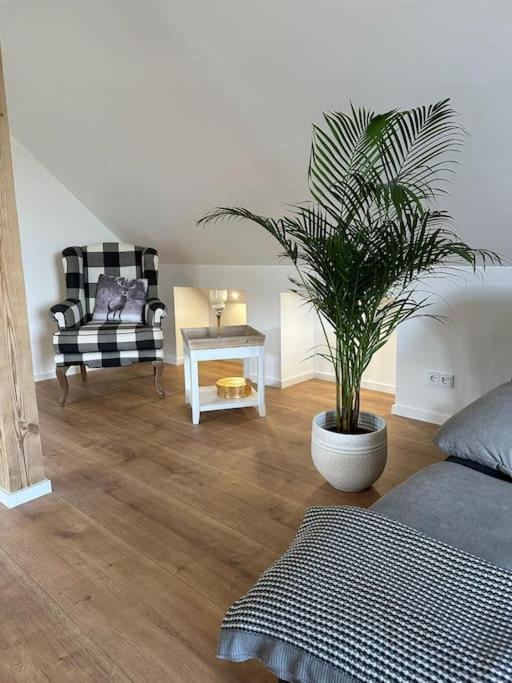 Neuwertige gemütliche Wohnung