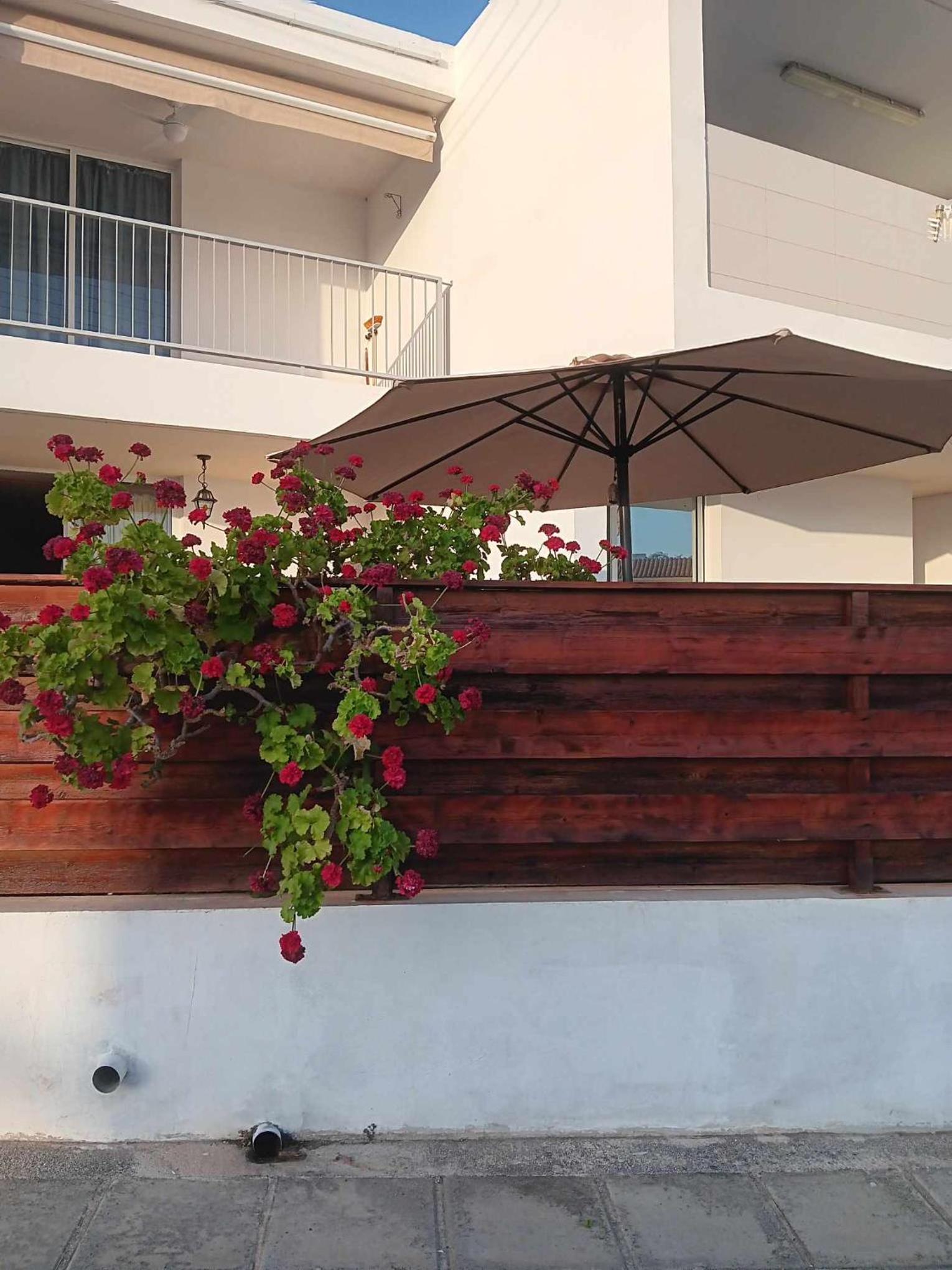 Summer Bliss Apartment Peyia
