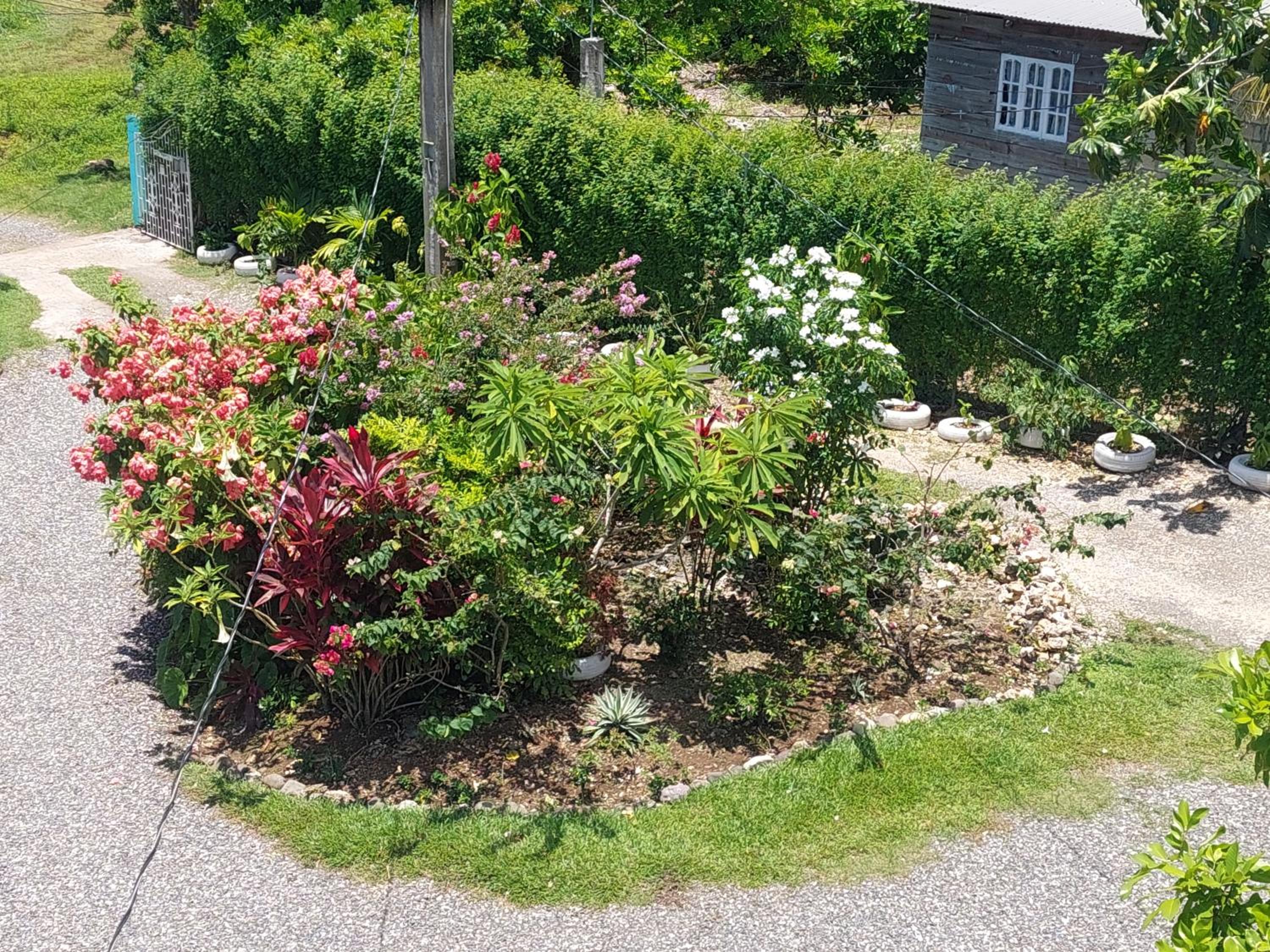 Photo 6