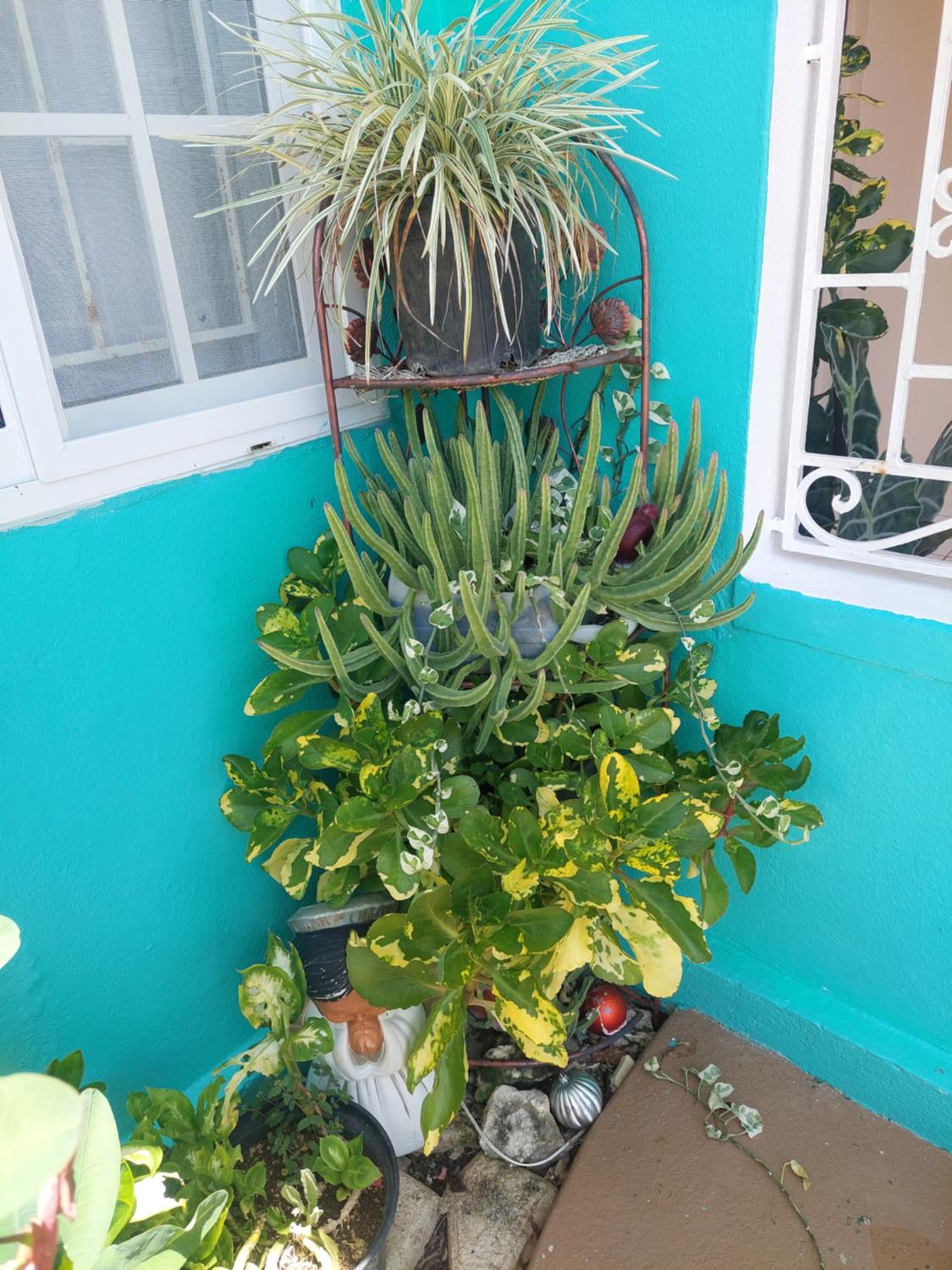 Photo 22