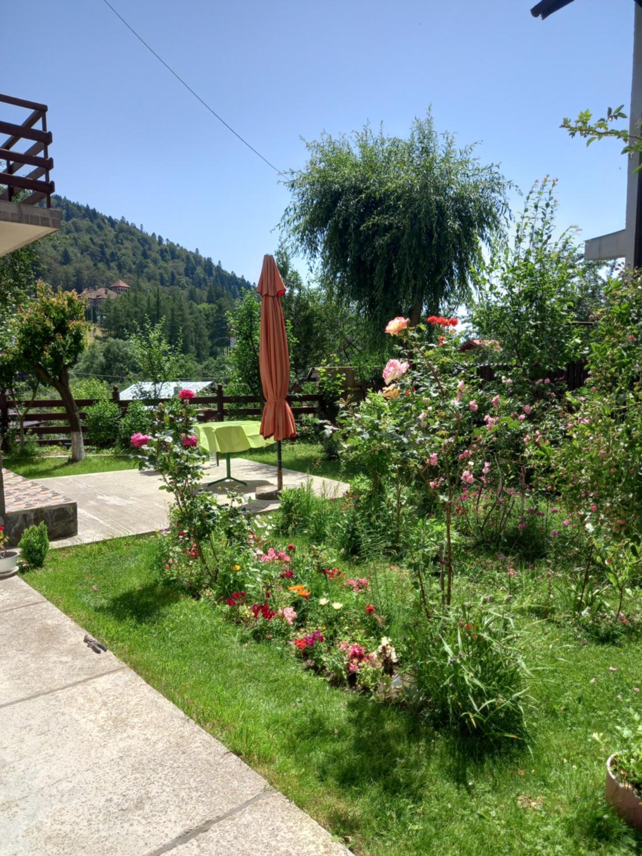 Photo 22