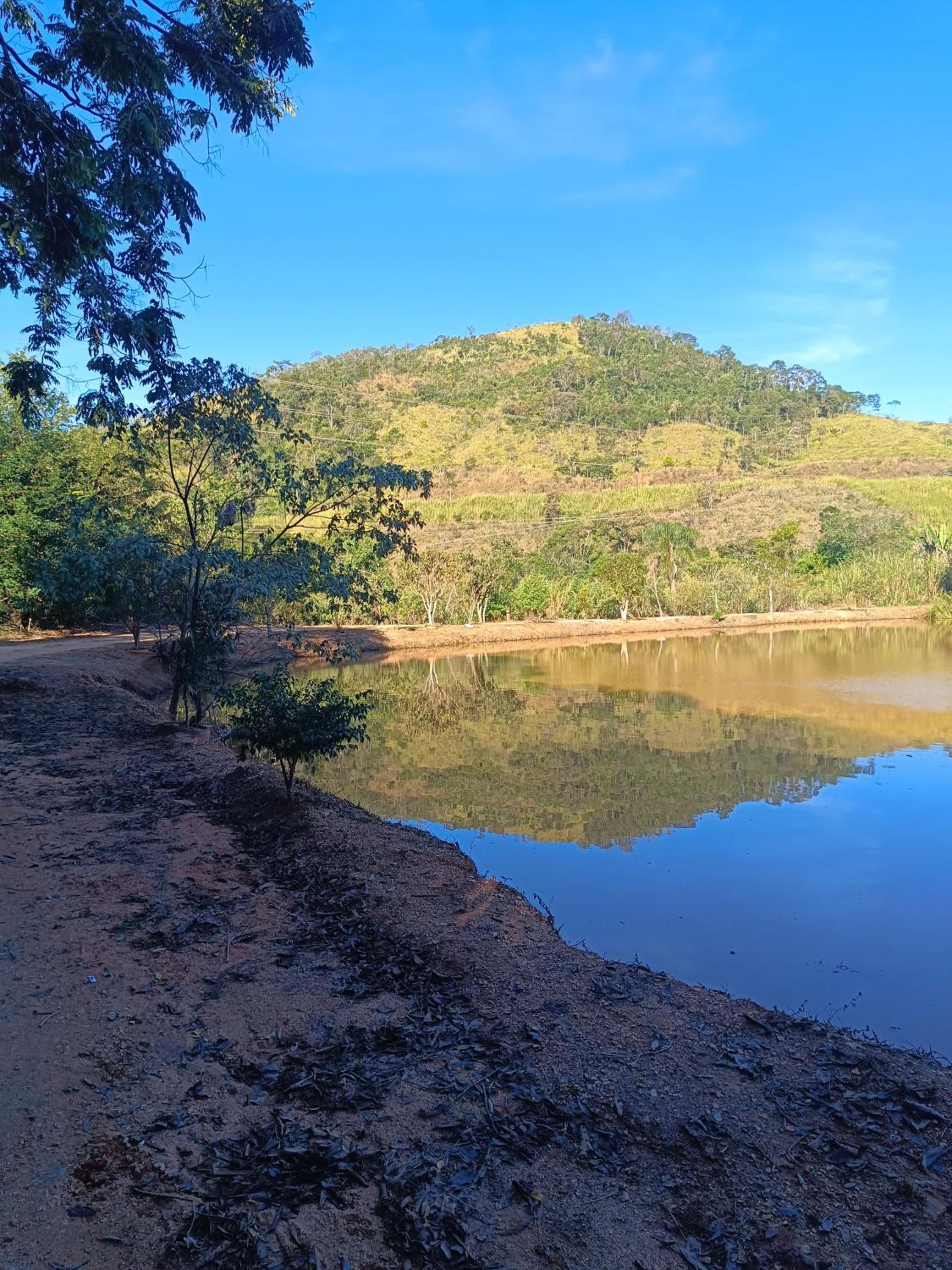 equilíbrio perfeito entre sofisticação e aconchego no interior de São Paulo