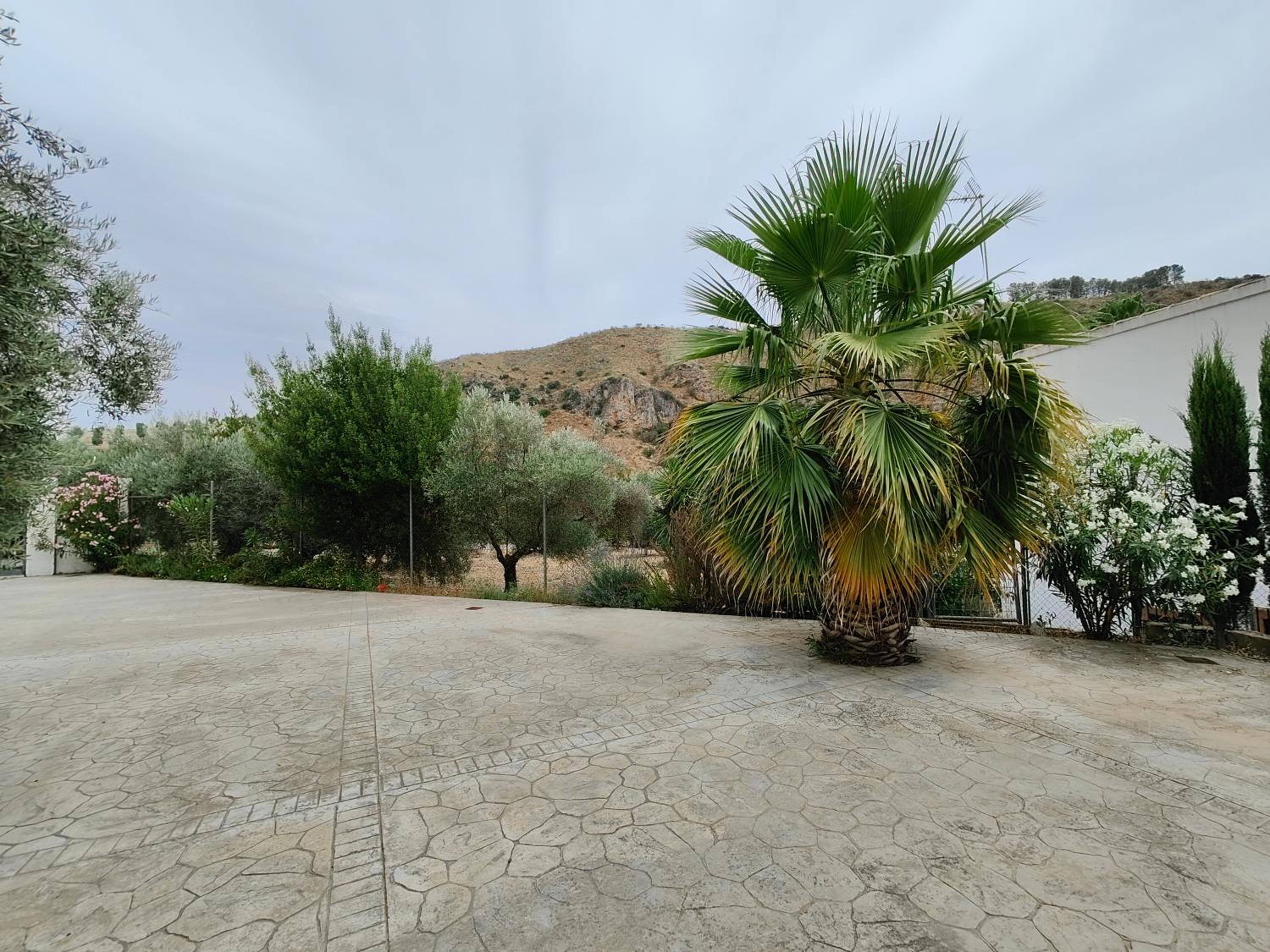 Casa rural Huertas del Castillo