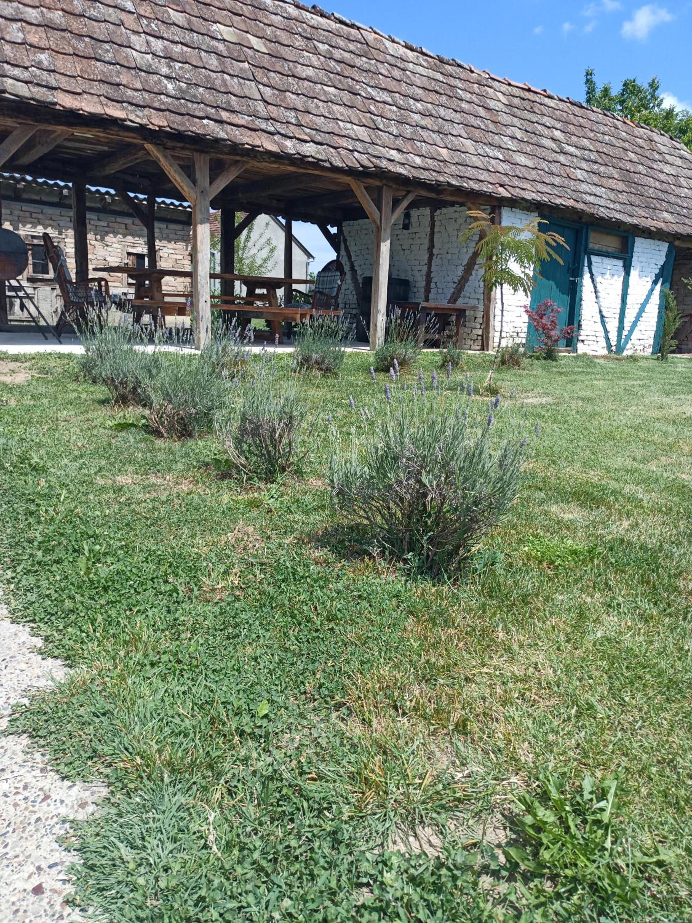 Photo 7
