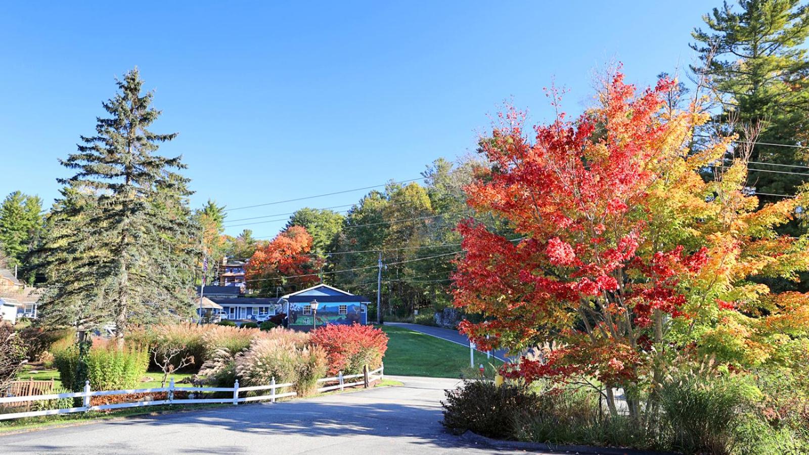 Blowing Rock Inn