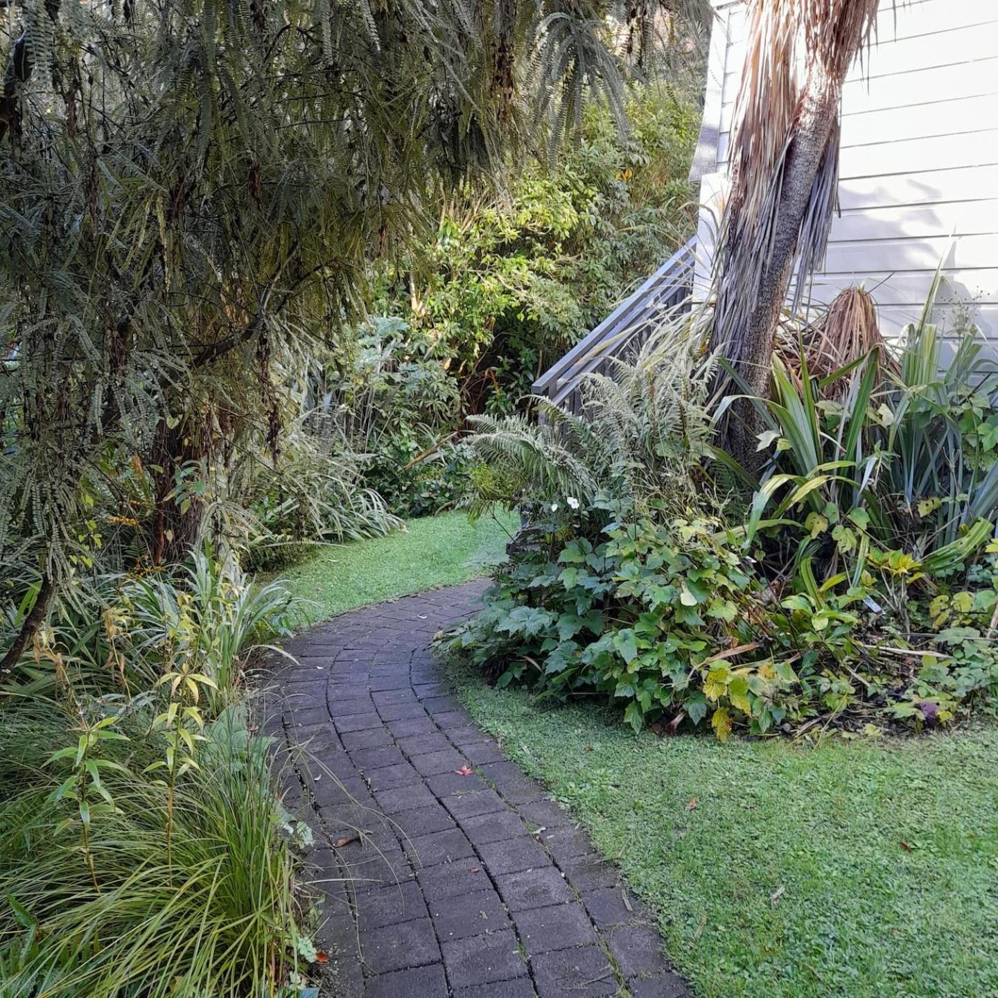 North Dunedin Woodland Sanctuary view 4