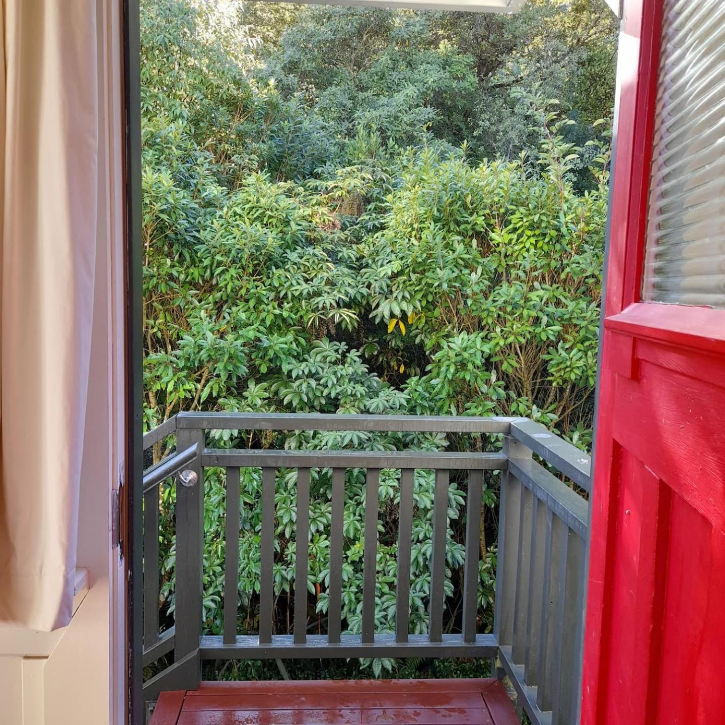 North Dunedin Woodland Sanctuary view 5