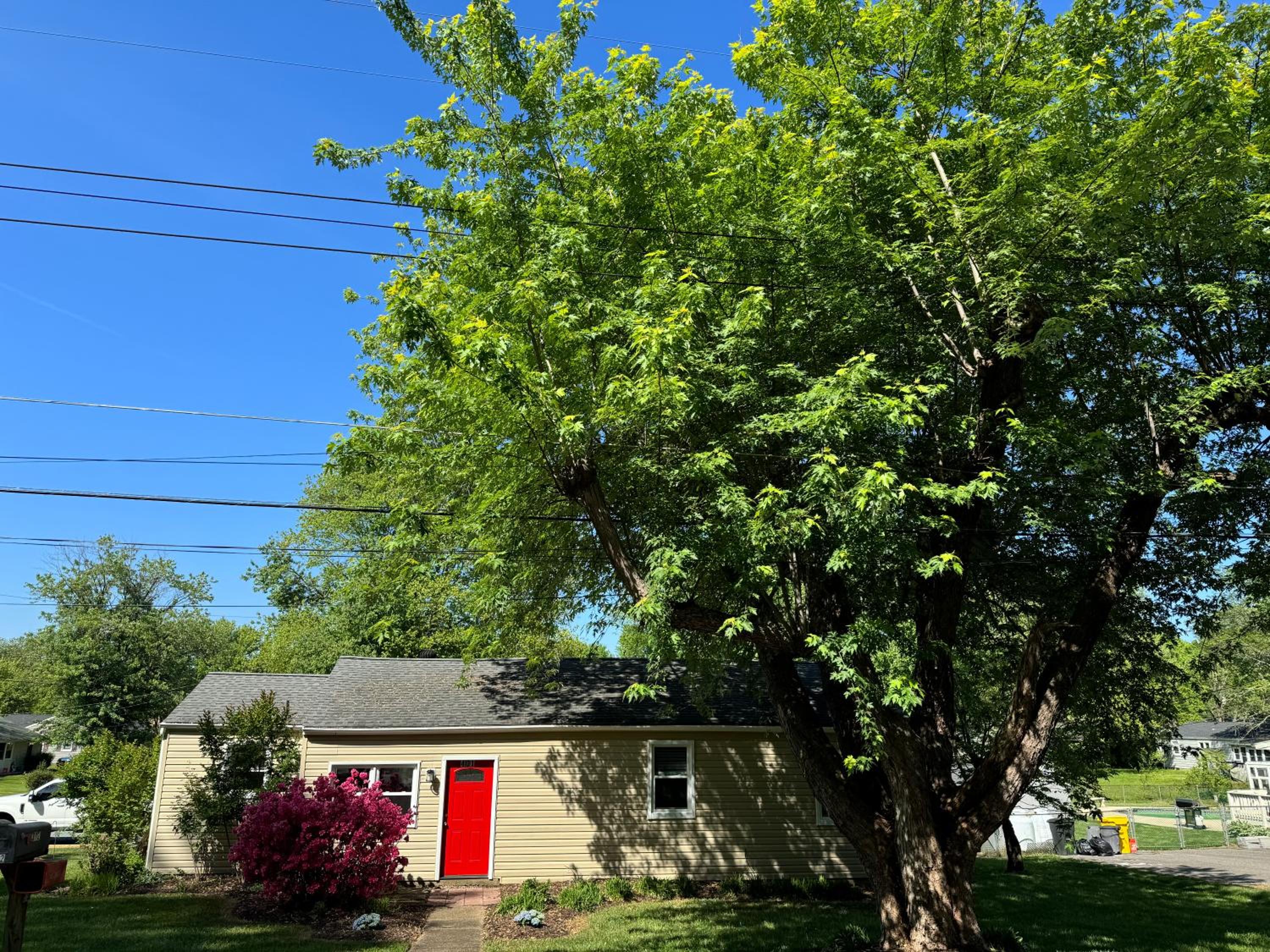 Holly Hill Haven - Property Image 23