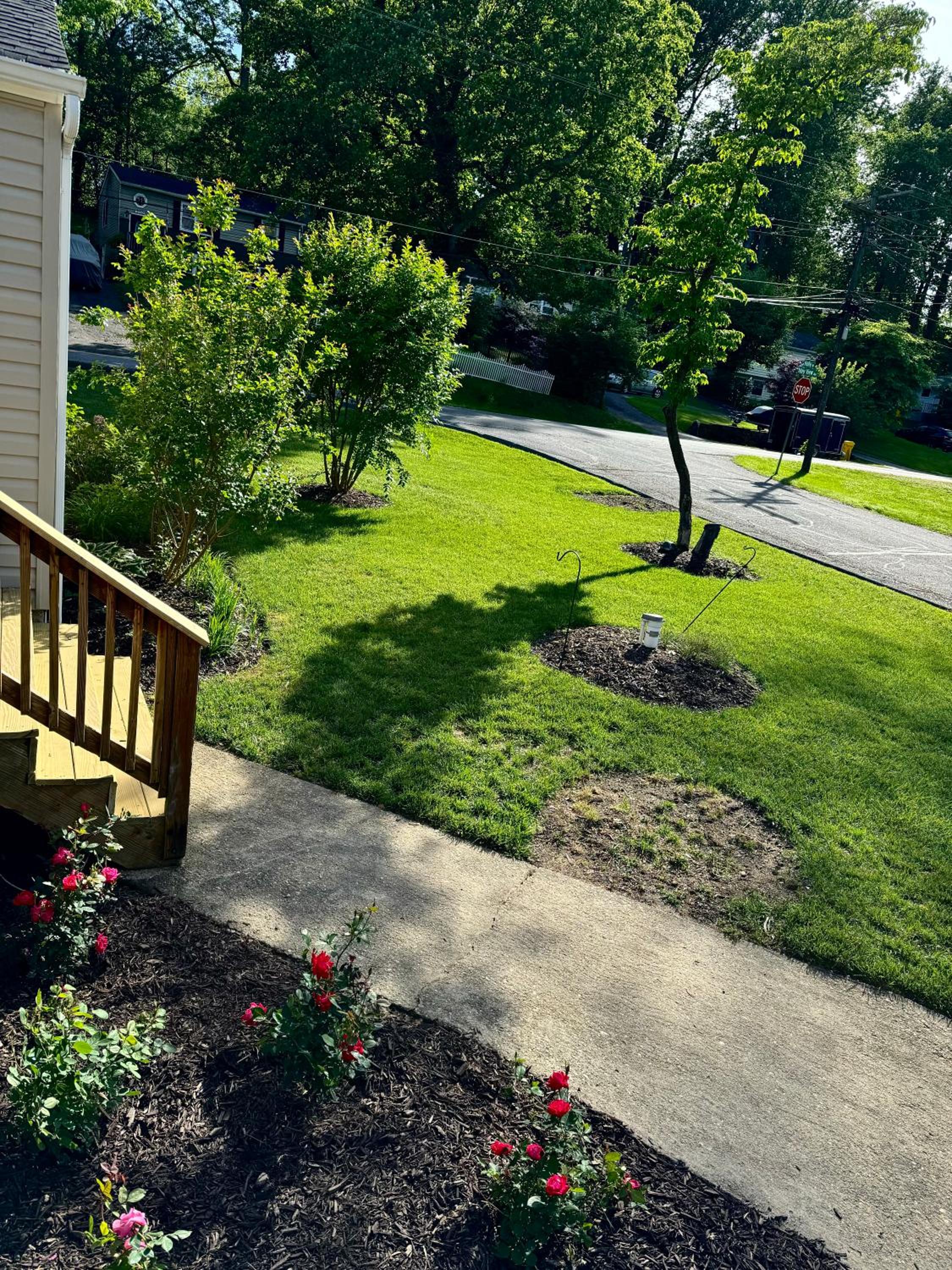 Holly Hill Haven - Property Image 24