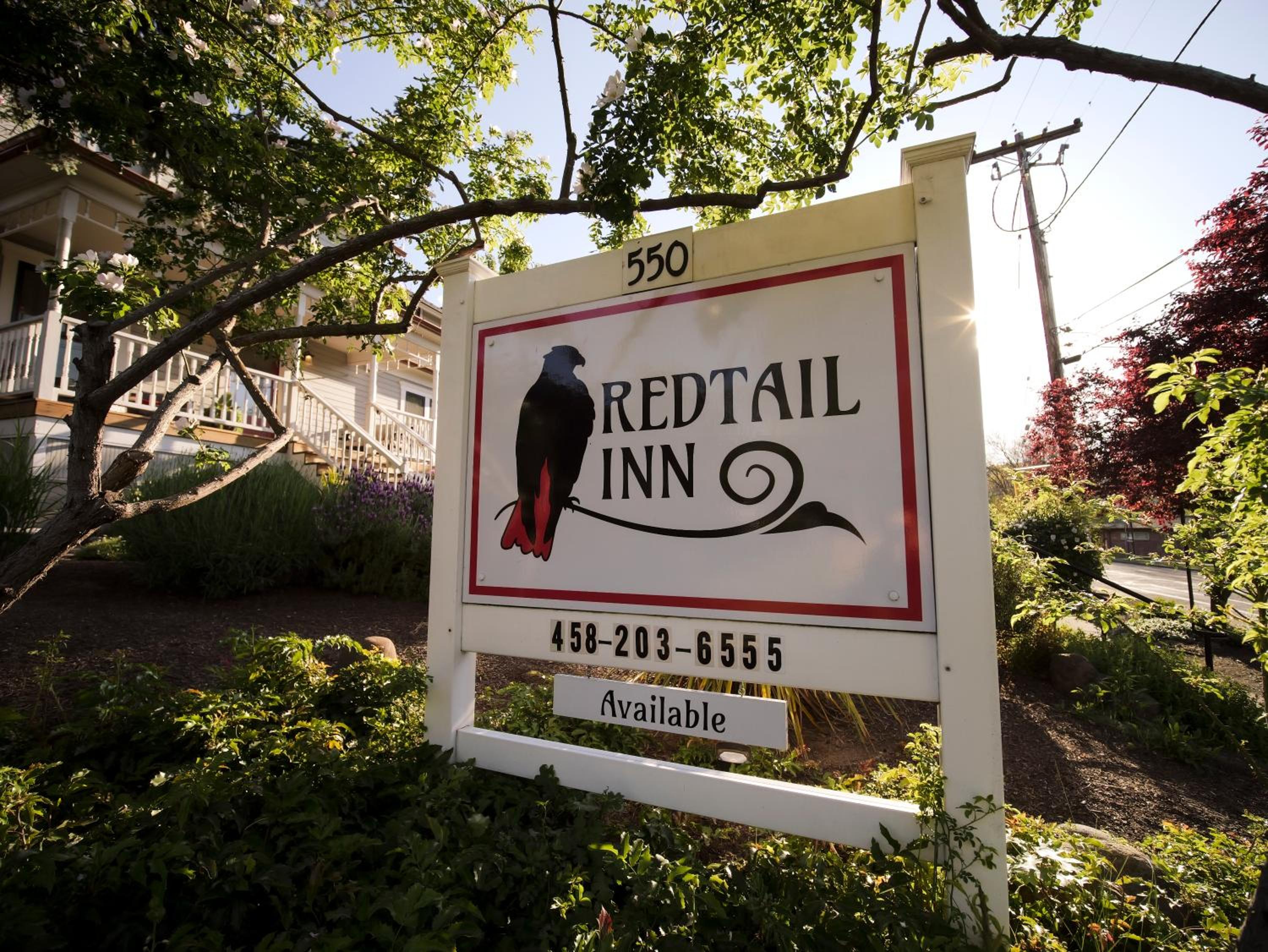 Ashland Vacations - Redtail Inn - 3 Suites Sleeps Up To 12 - Property Image 113