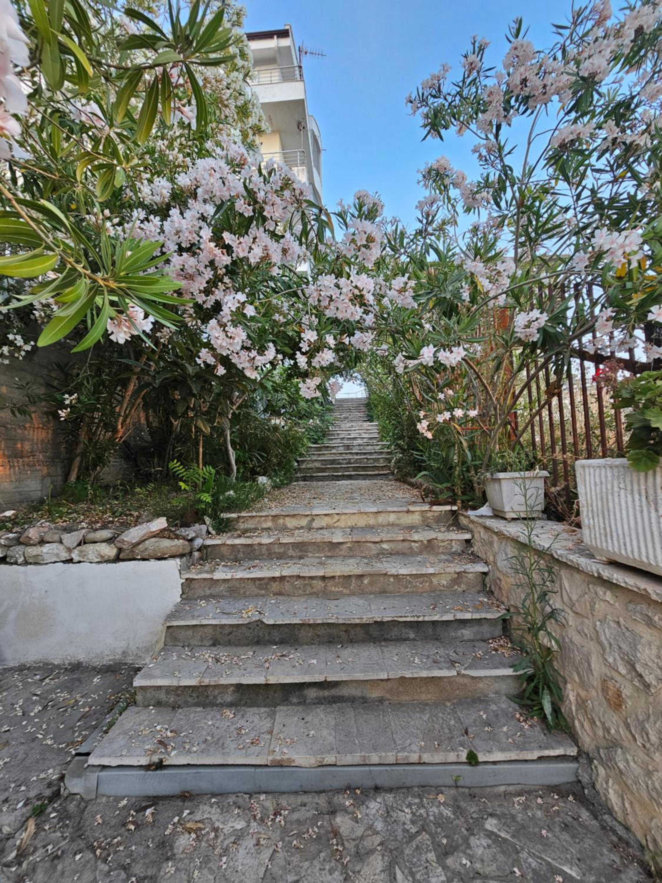 Bral Currila - Peaceful Beachfront Apartment