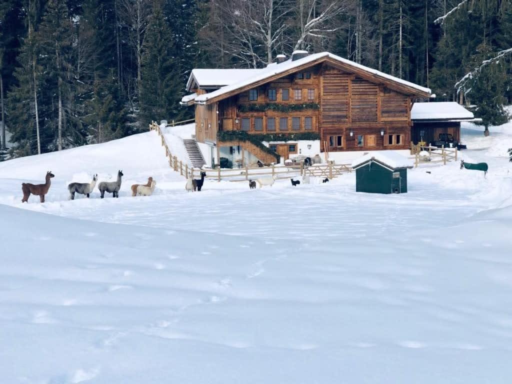 Gstaad - Great Luxurious Farmhouse