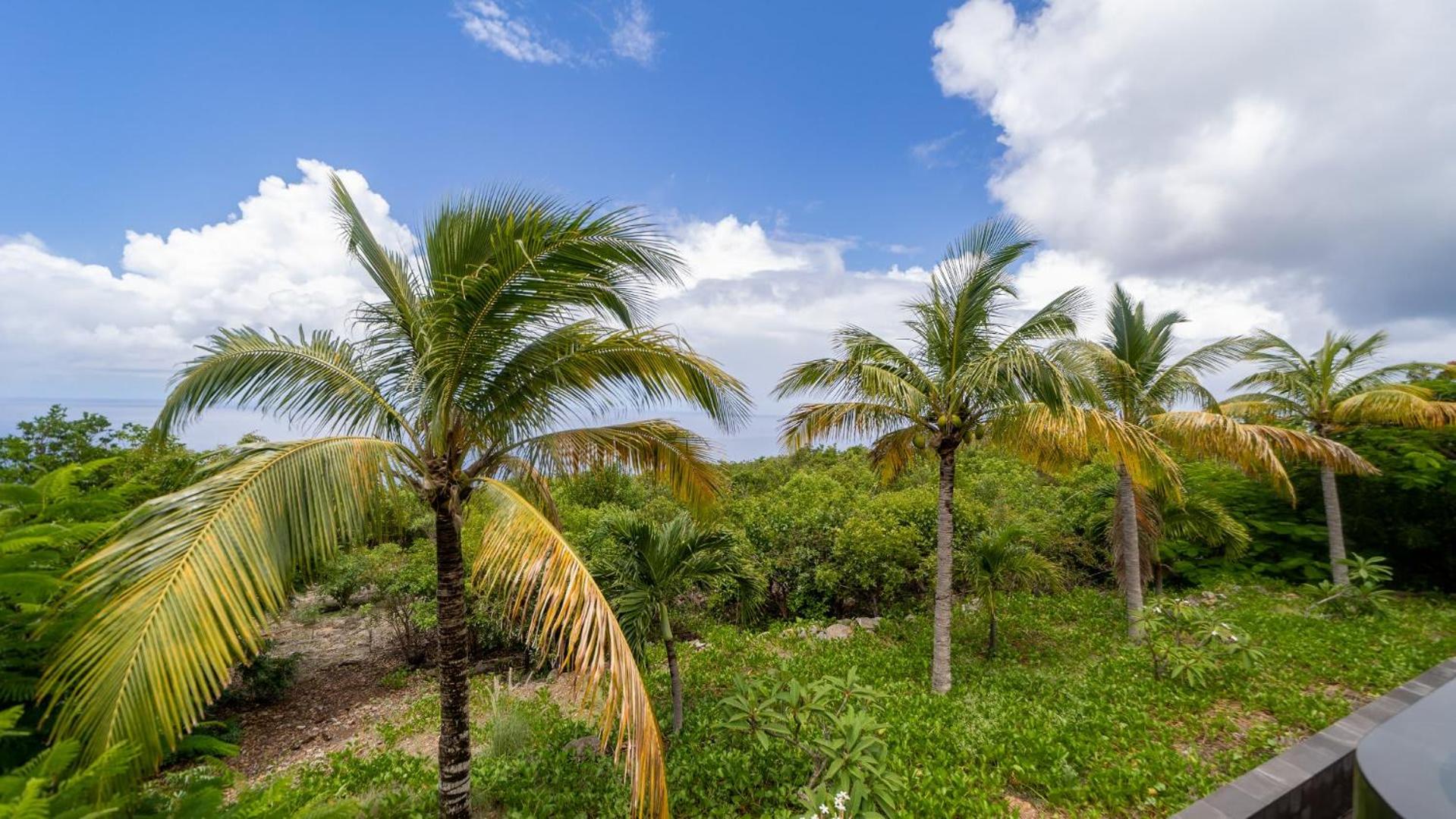 Ideally Located Gorgeous Villa