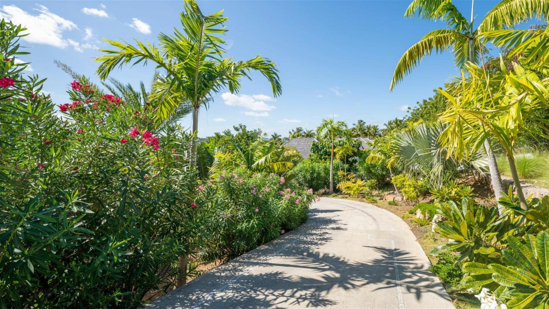 Peaceful villa with tropical surroundings