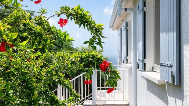 Traditional Style Villa with Modern Decors
