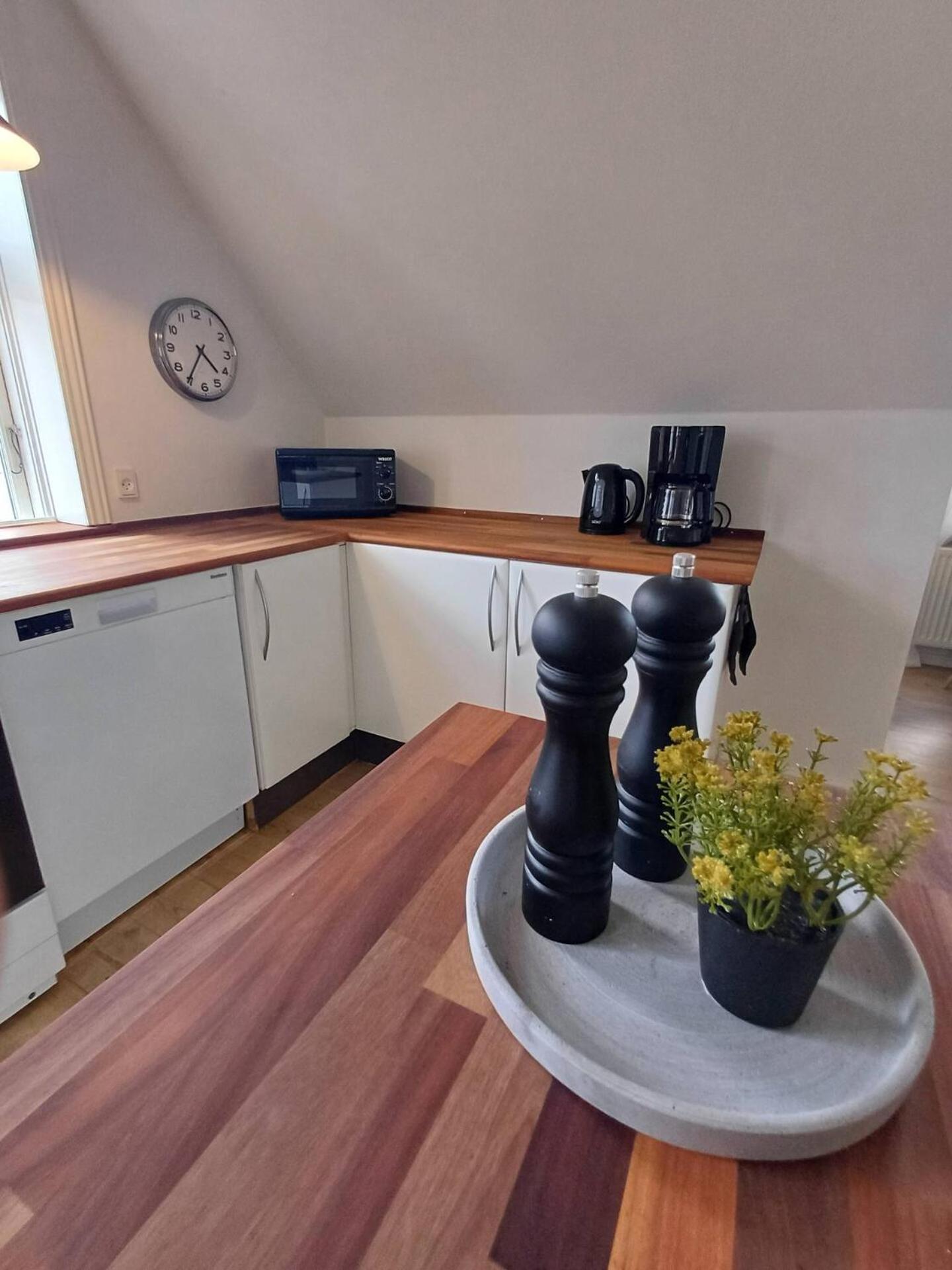 Grand Luxury Apartment In The Center Of Hjoerring