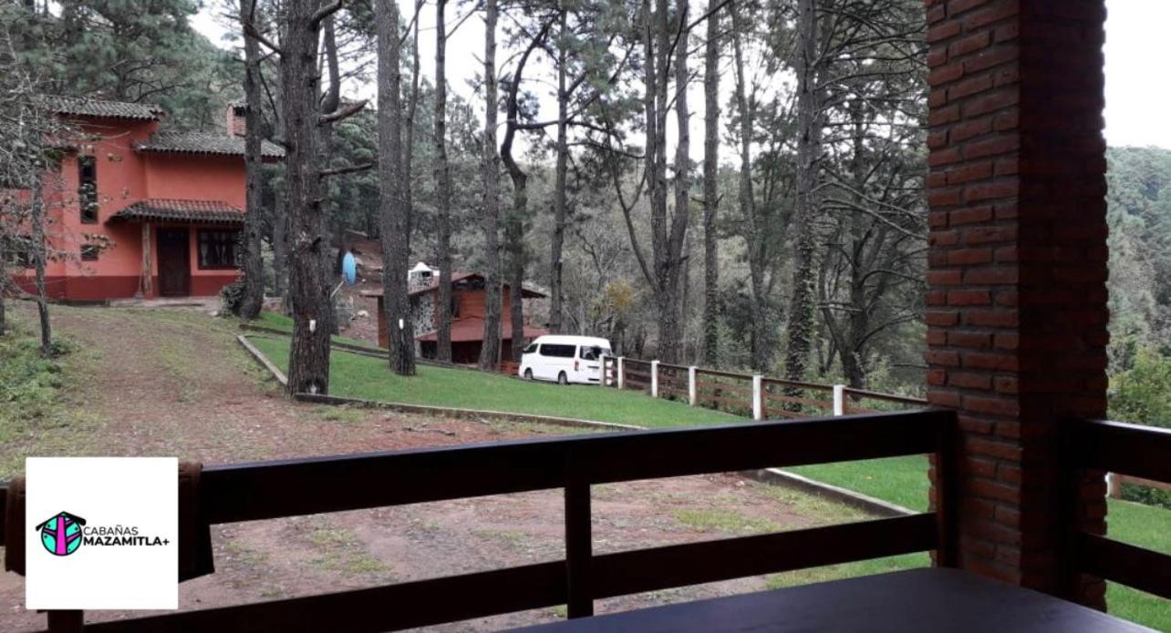 Petirrojo
