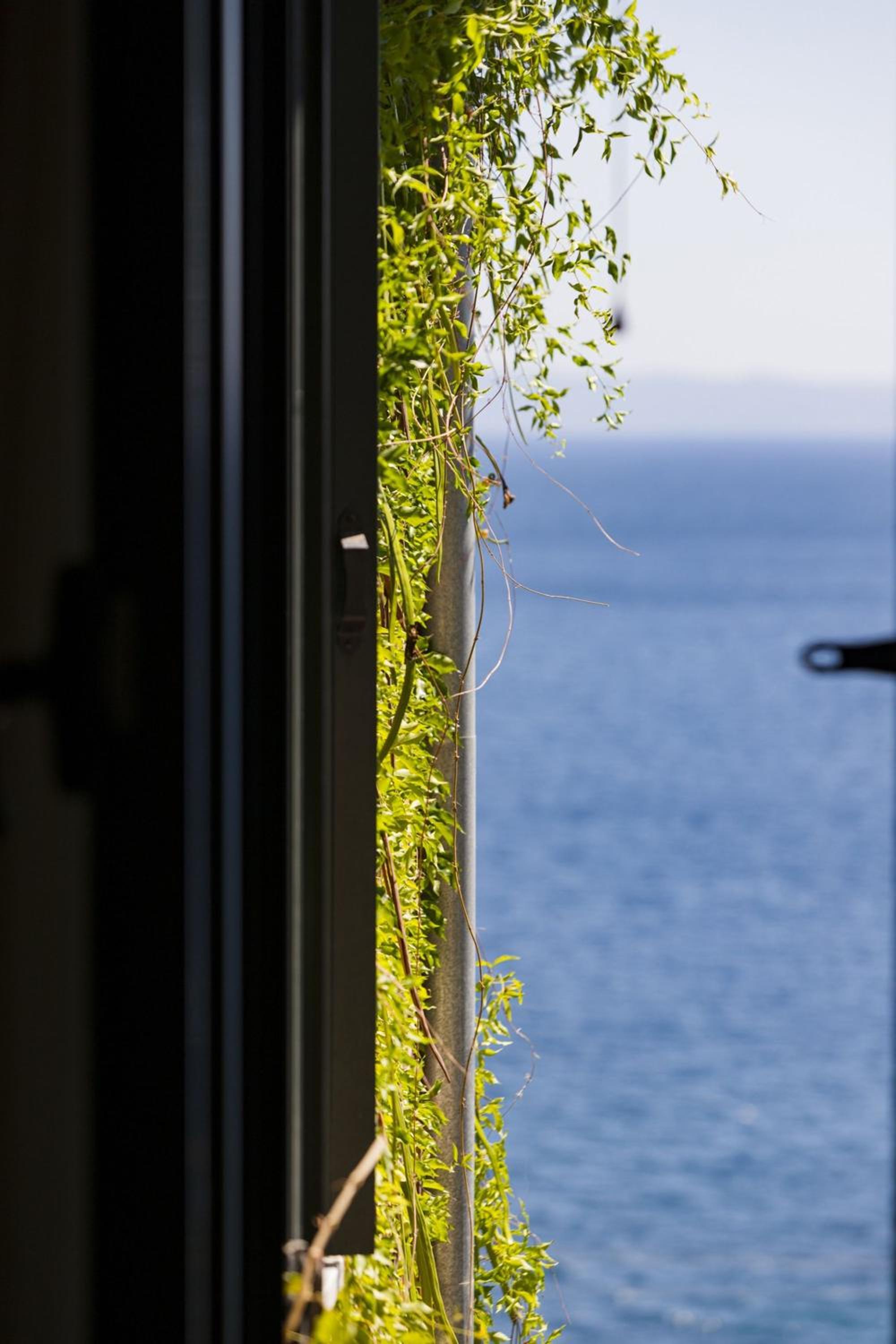 Photo 72