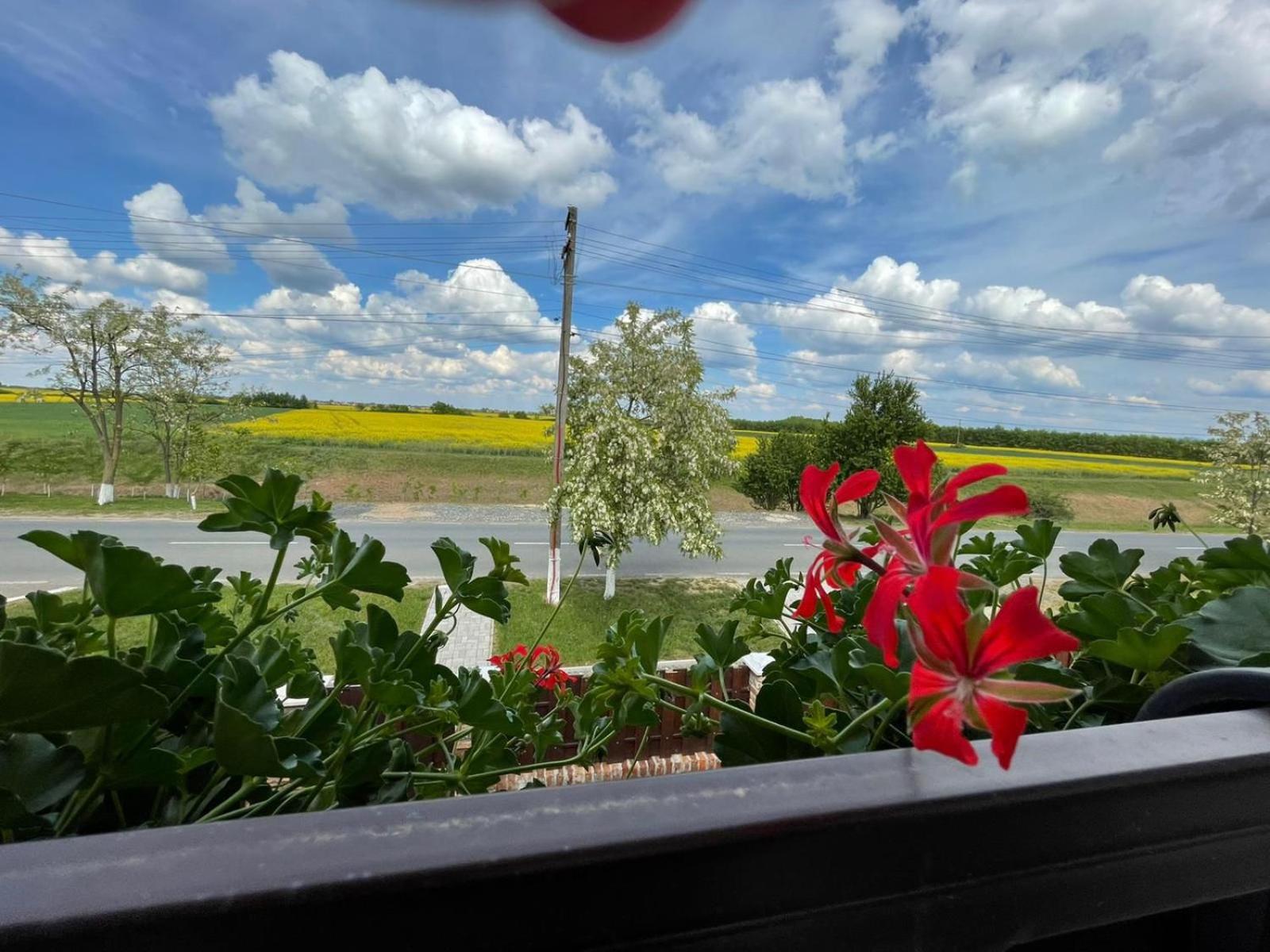 BIA Twin House view 3
