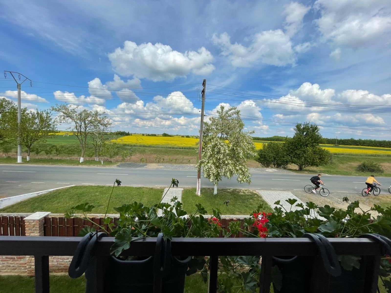 Photo 25