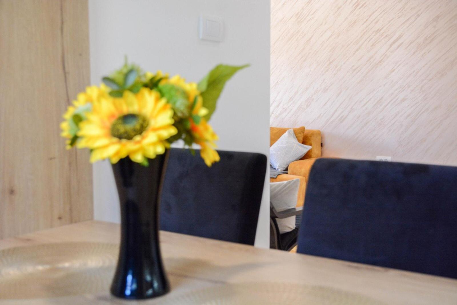 Vidik apartmani Tara