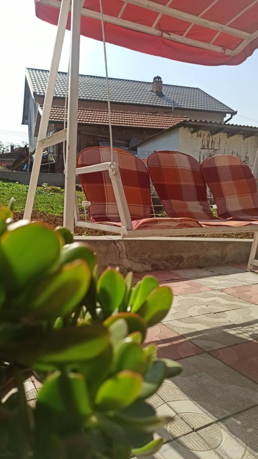 Taša i Miki view 5