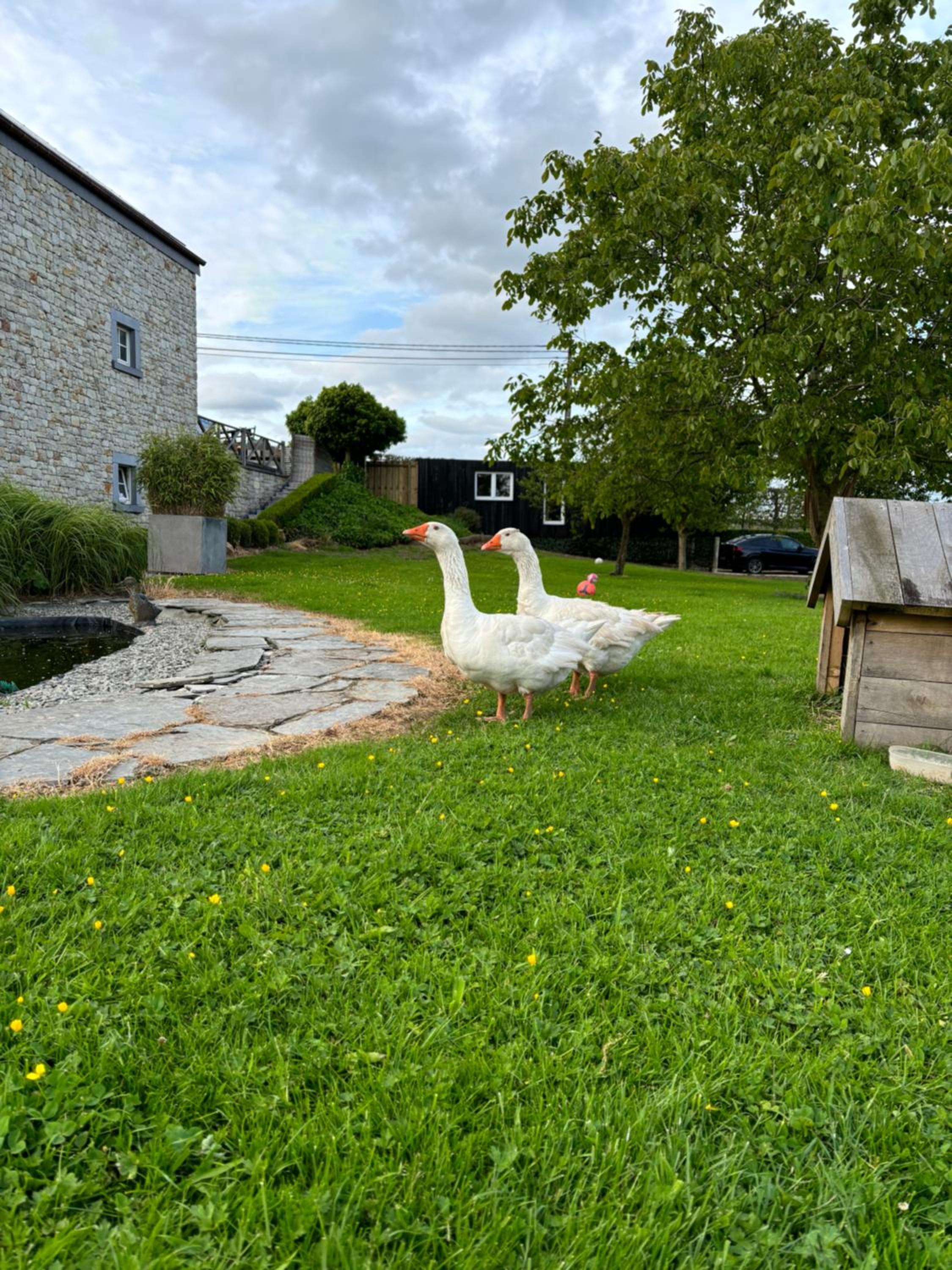 La cabane de Lulu