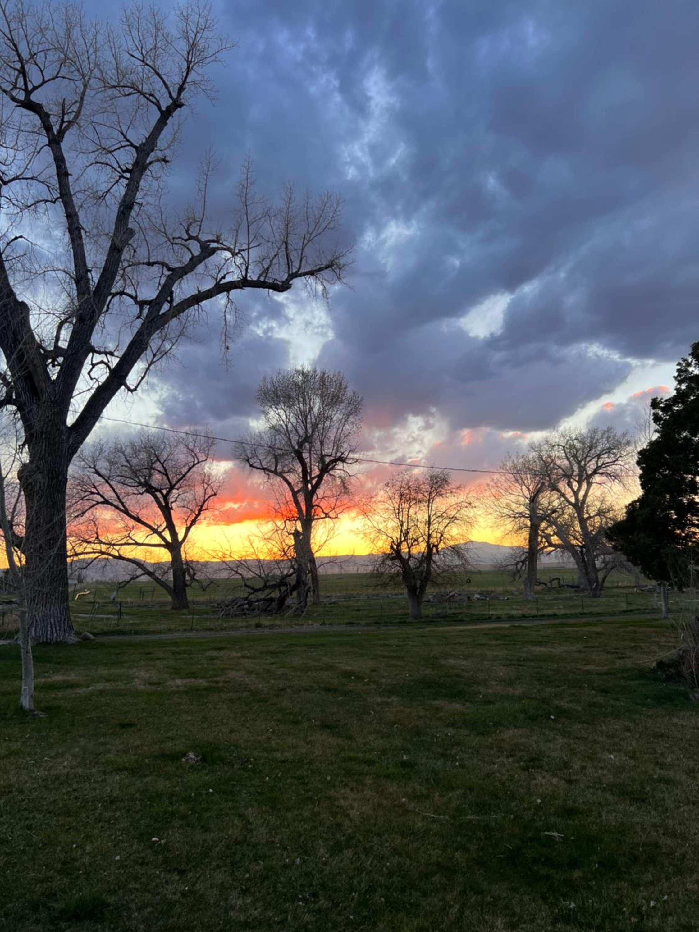 Hudson House Bed and Breakfast view 3