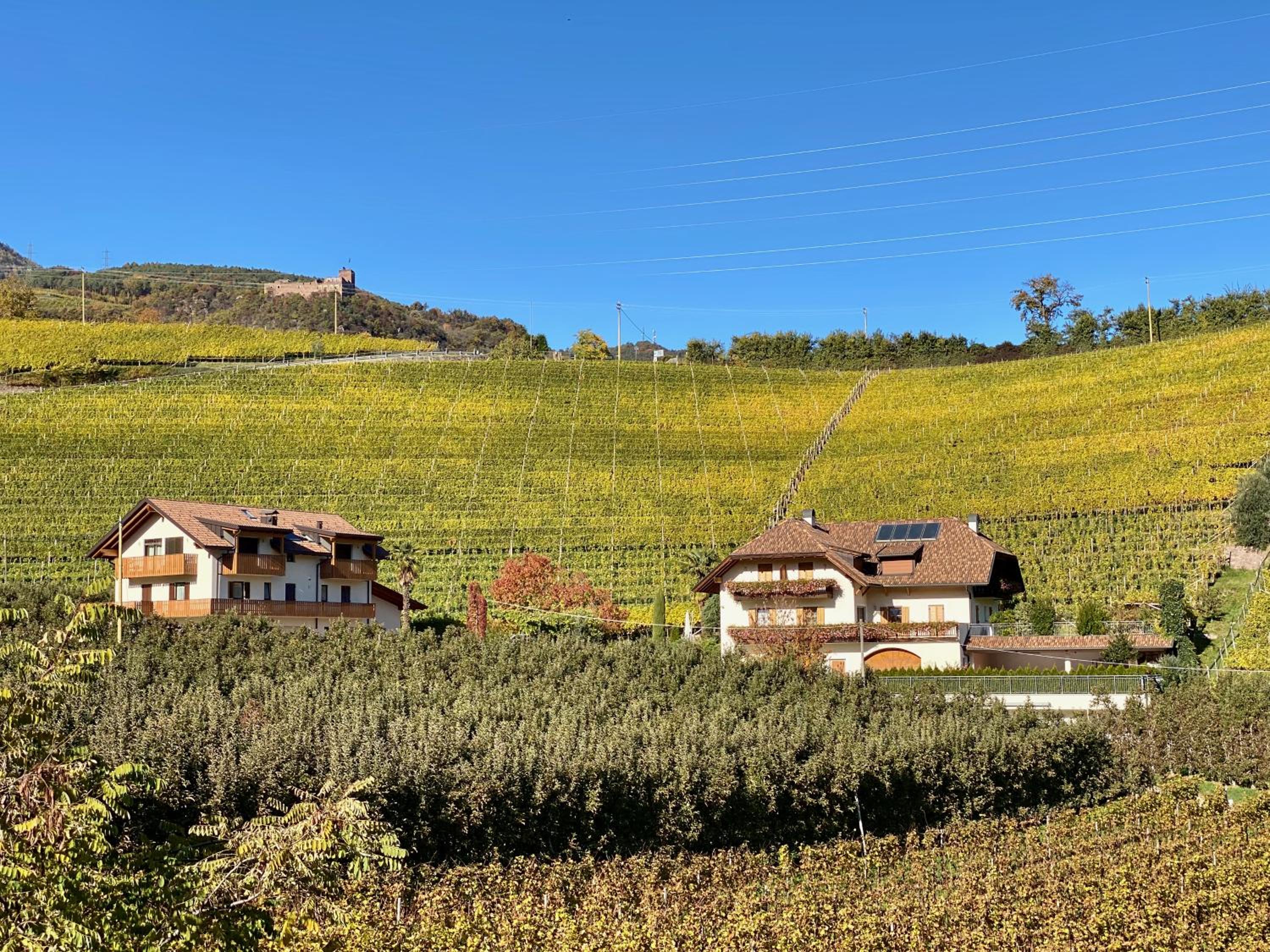 Spiegelhof