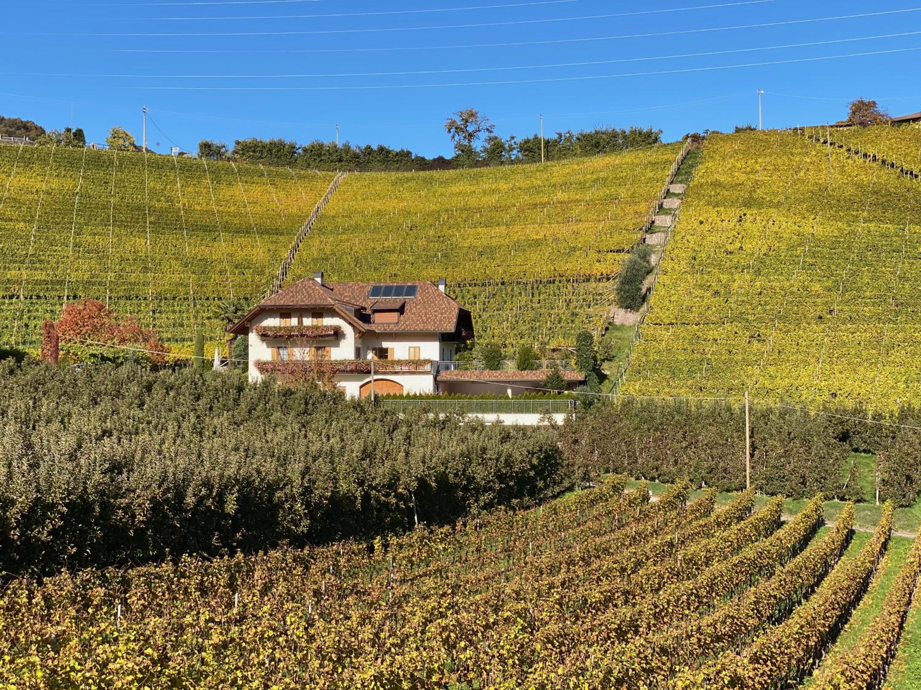 Spiegelhof