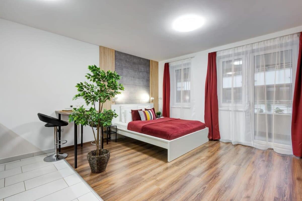 Homey new studio great central area view 5