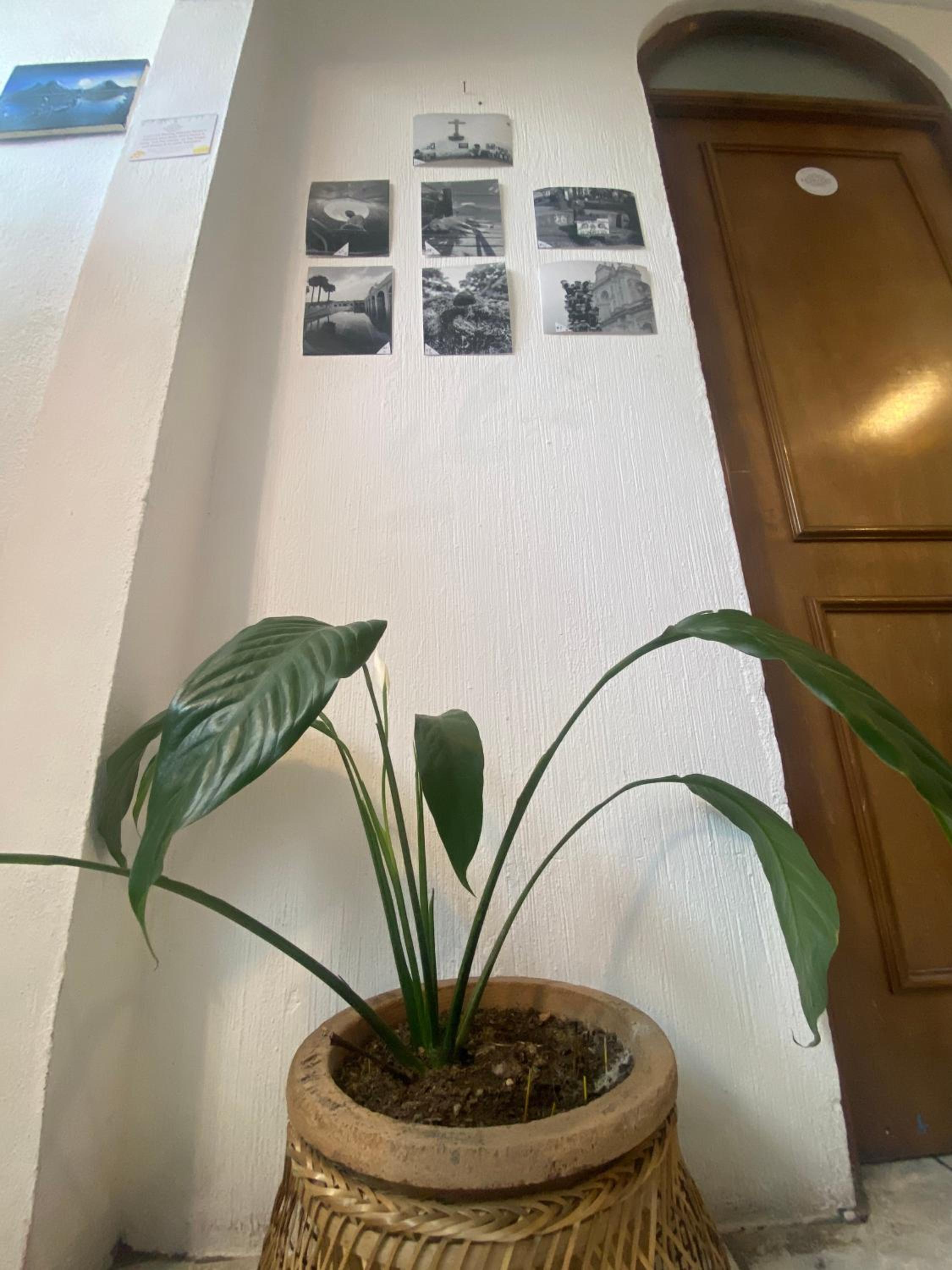 Photo 26