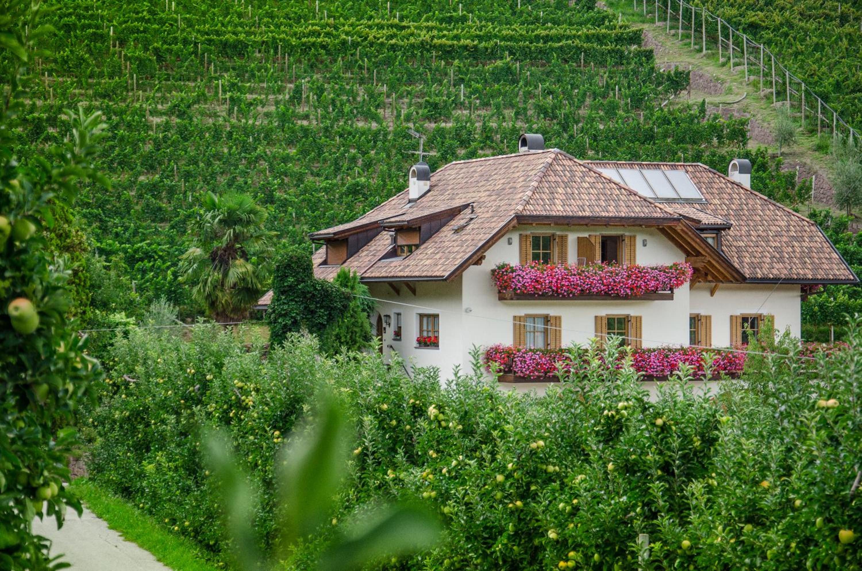 Spiegelhof