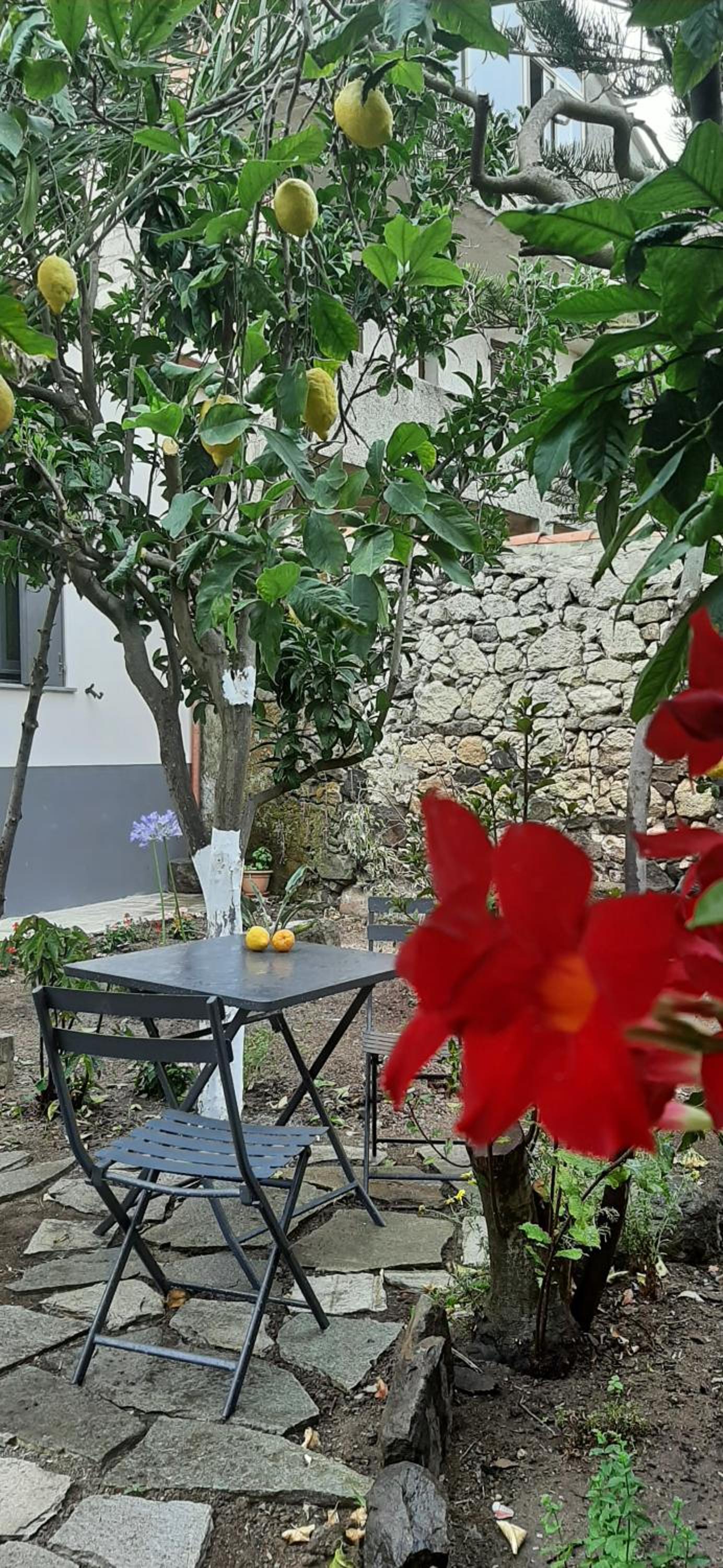 Profumo di Calicanto