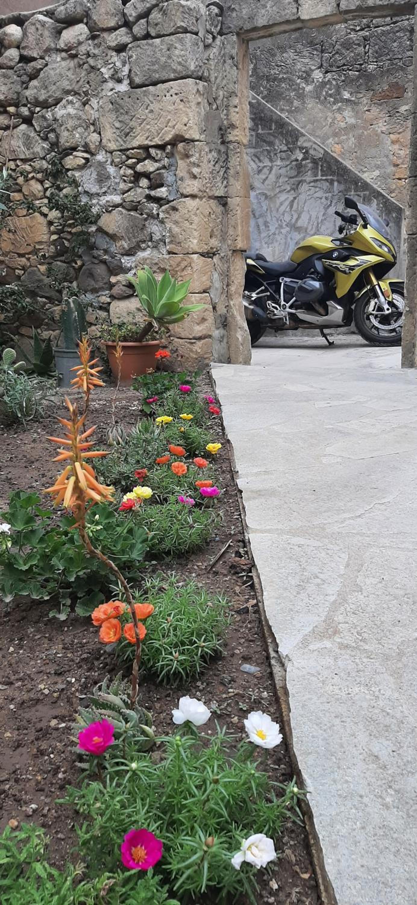 Profumo di Calicanto