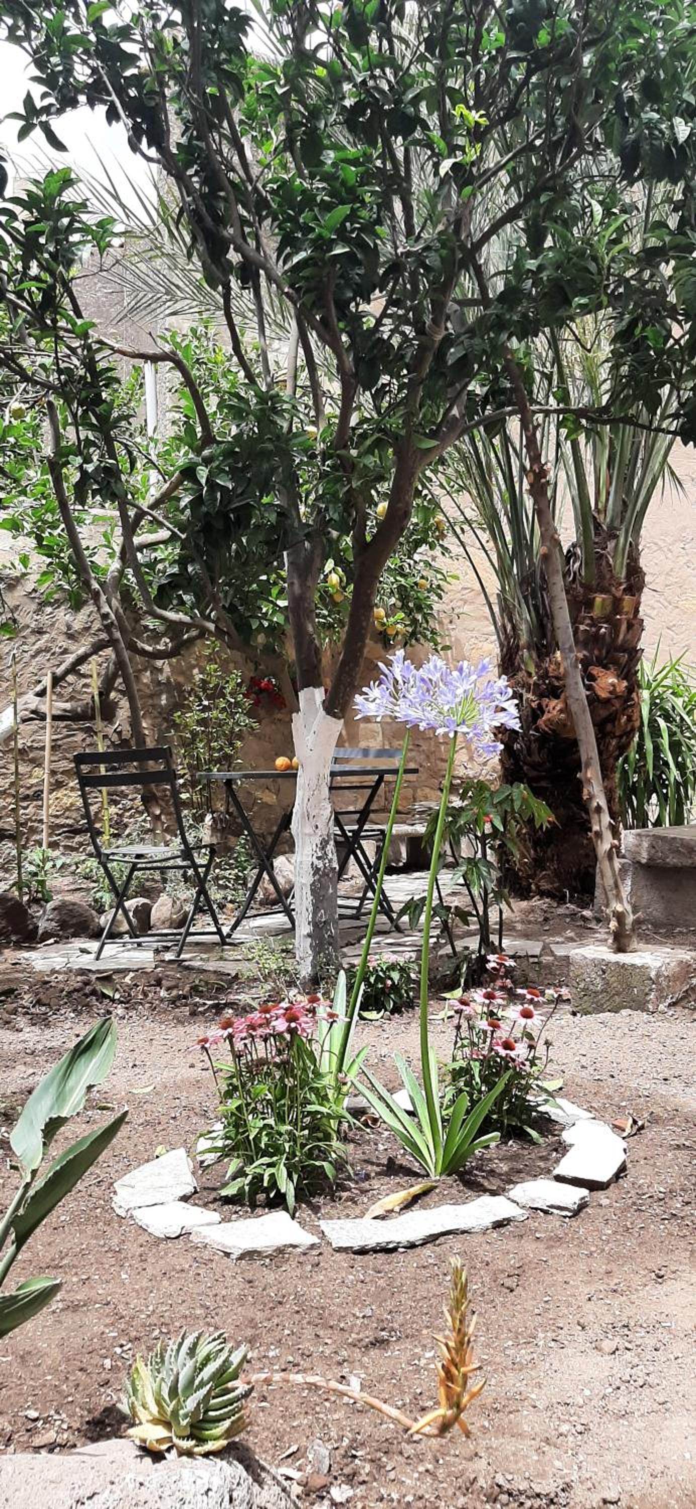 Profumo di Calicanto