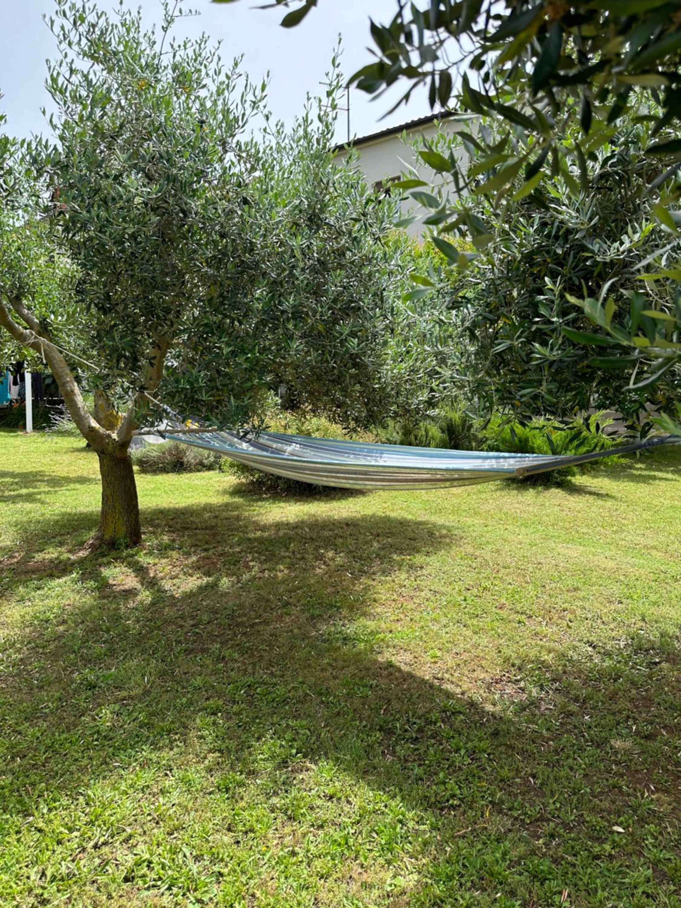 Apartment Karolina - green oasis with free parking