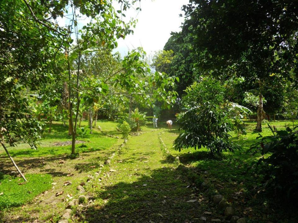CAMPOWASI Hostel