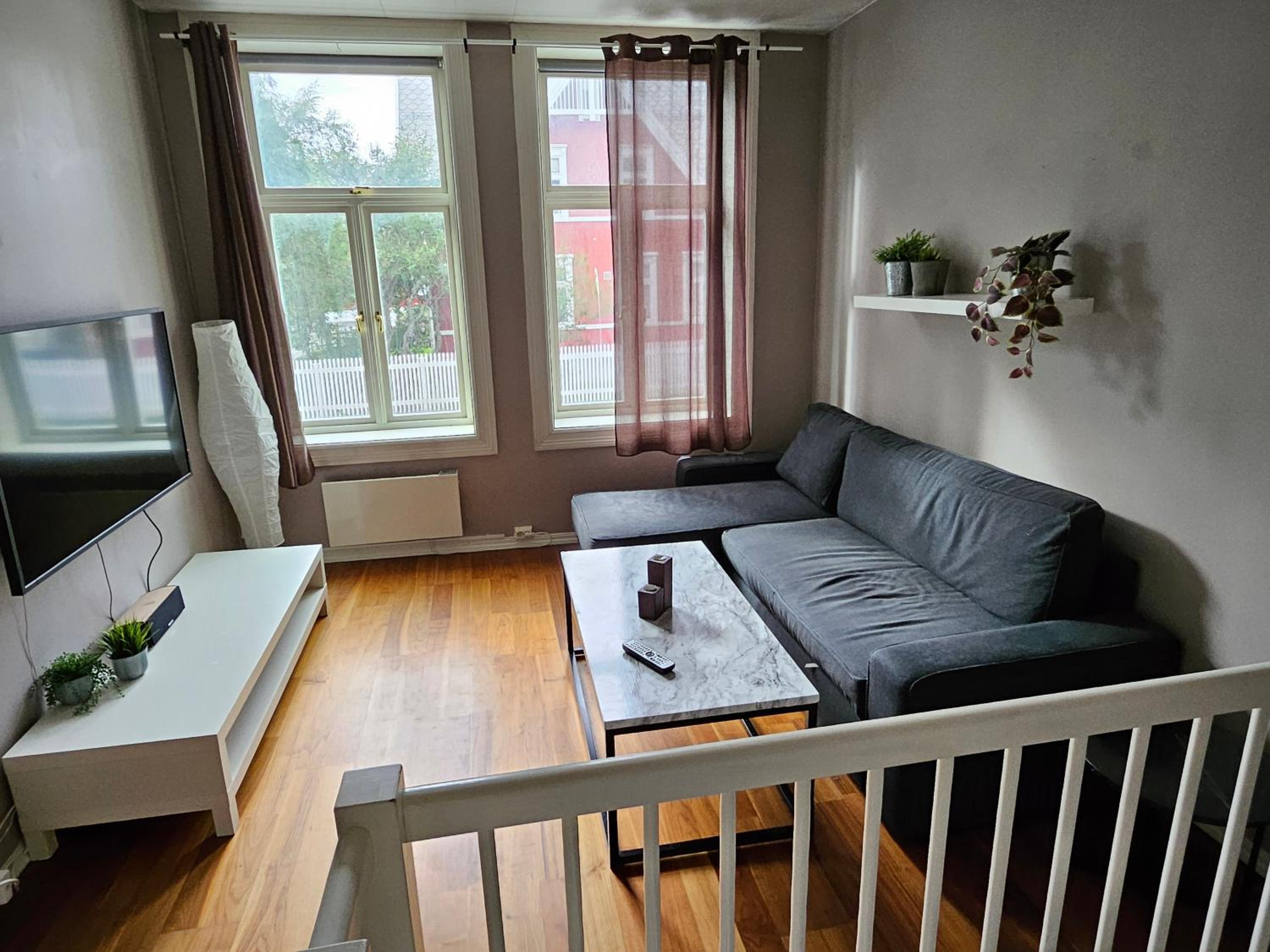 Roomy Apartment near Bakklandet with free parking view 2