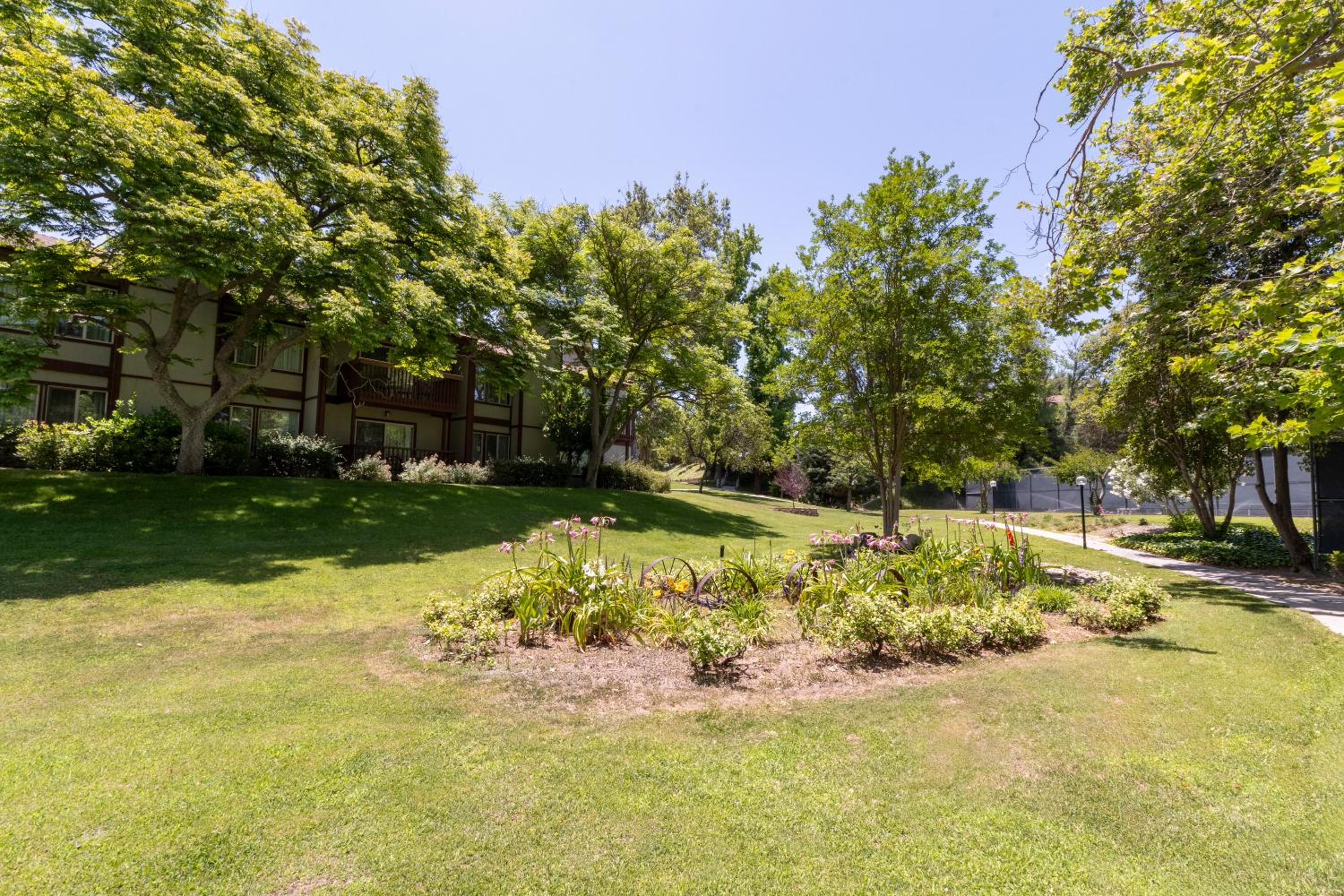 San Diego Country Estates - Property Image 6