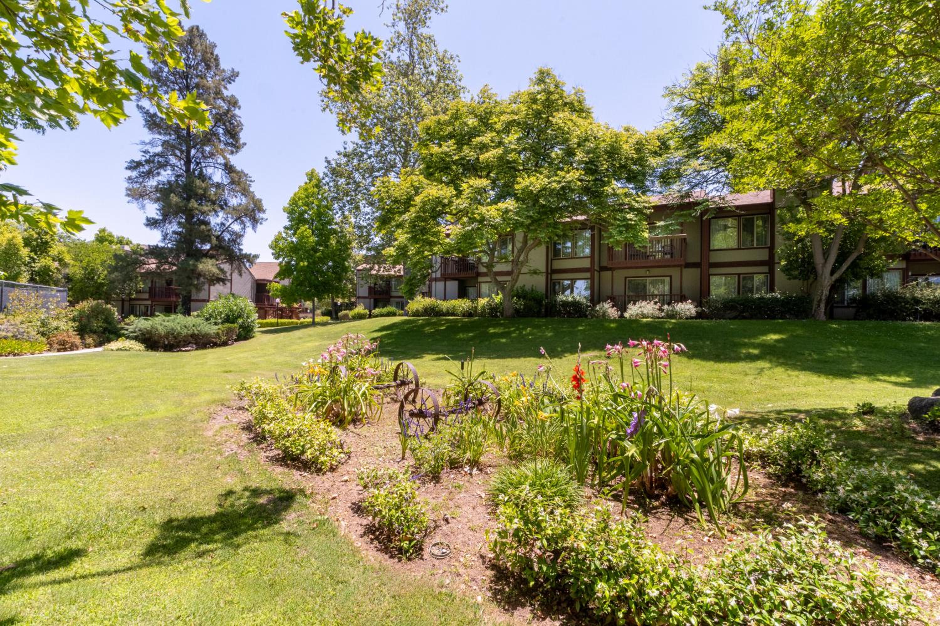 San Diego Country Estates - Property Image 5