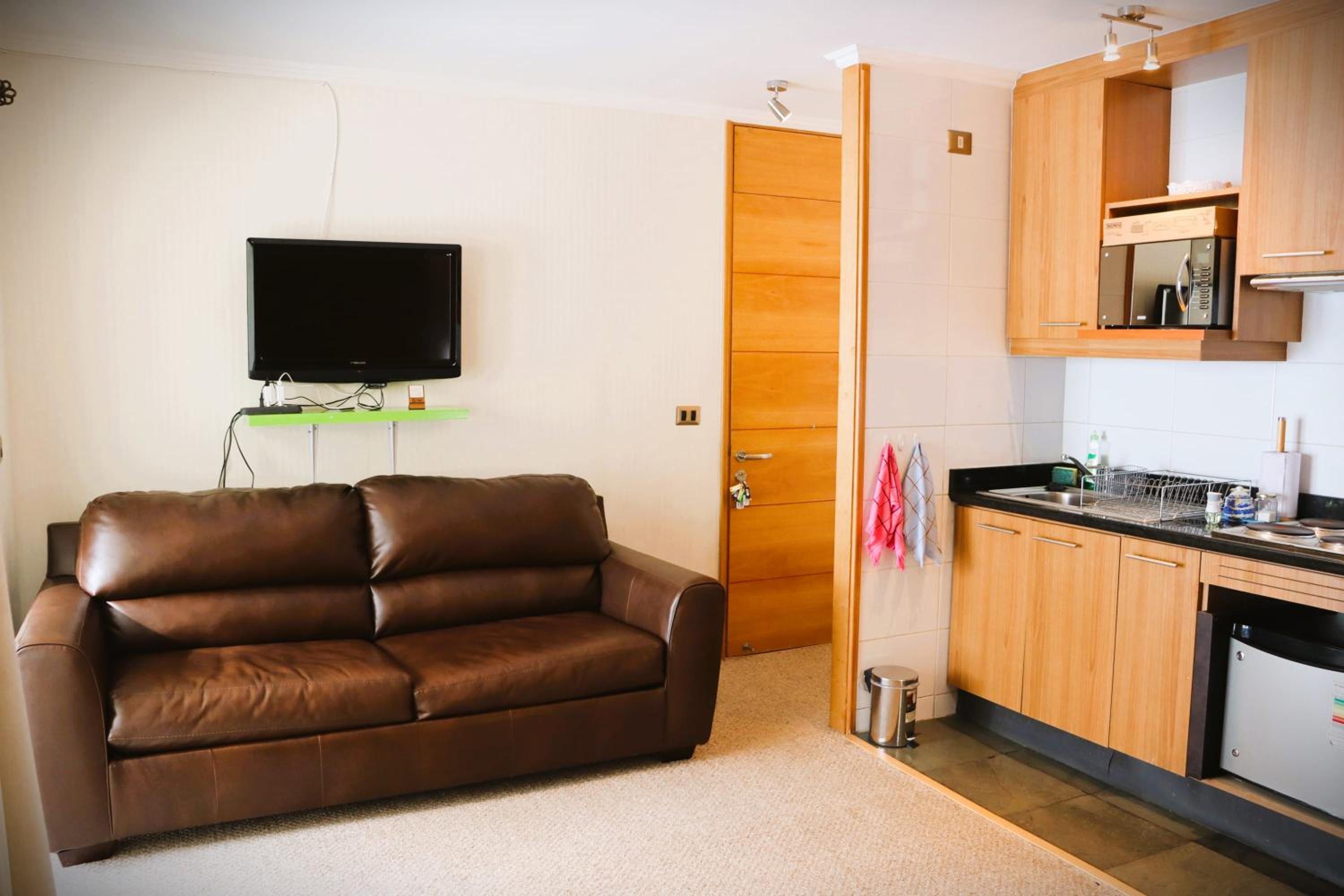HOM I Studio en Valle Nevado Valle Condores 1