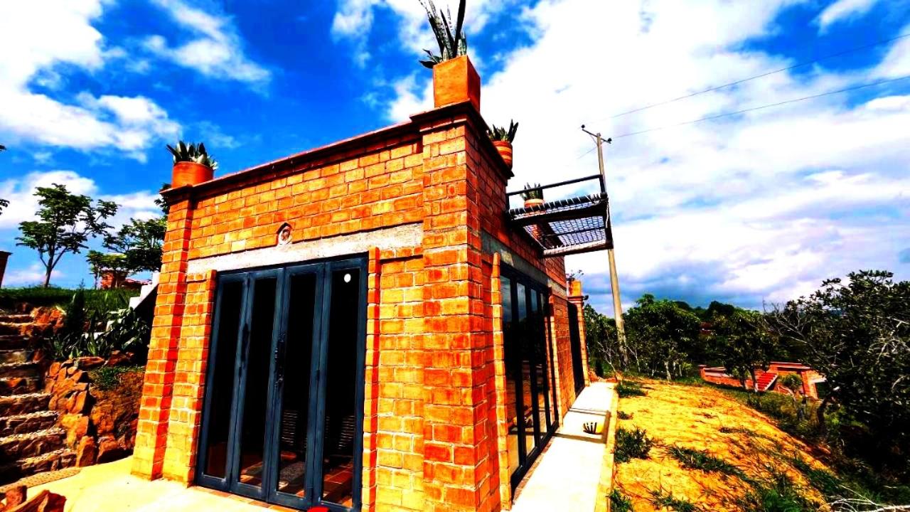 Villa sasa