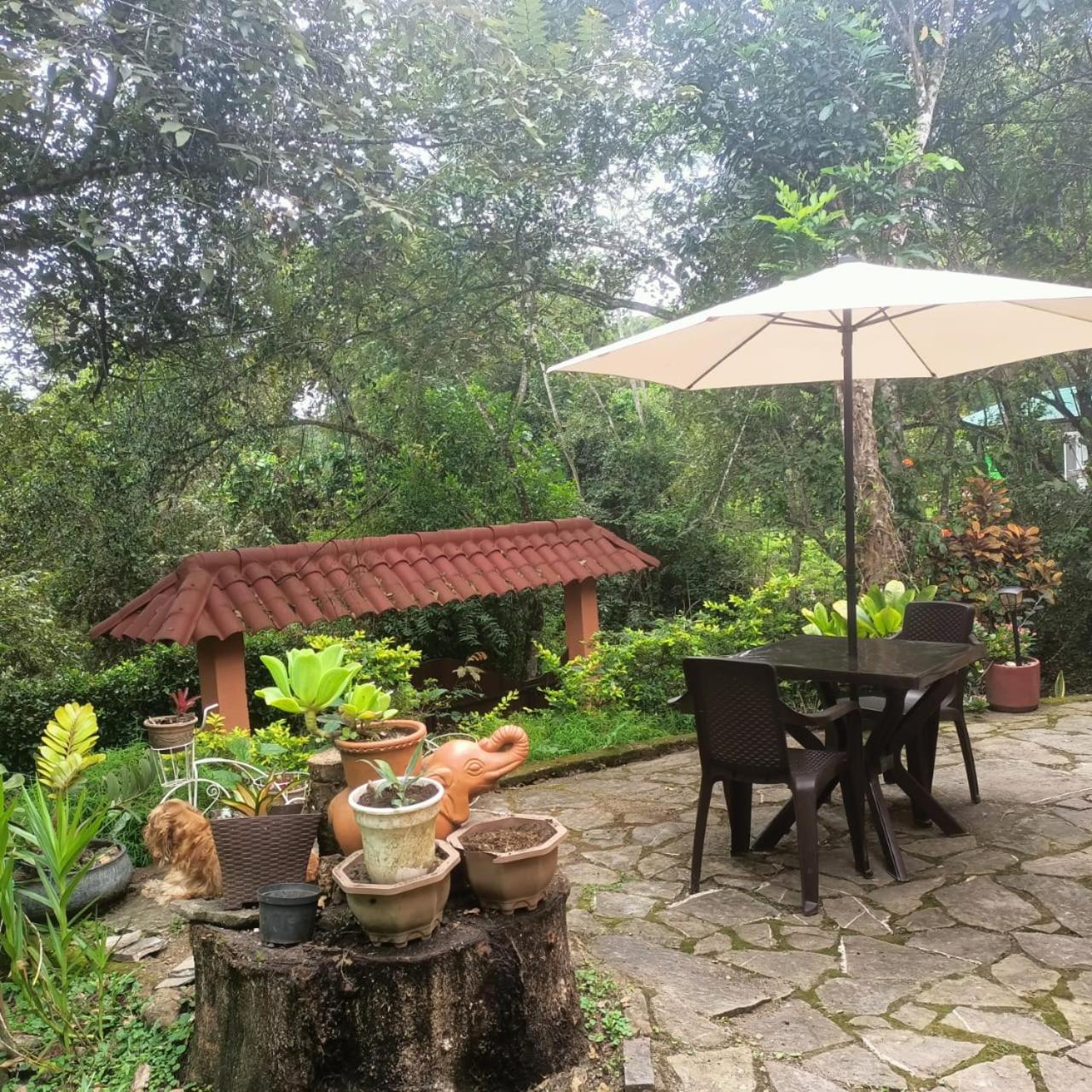 La Aguadita
