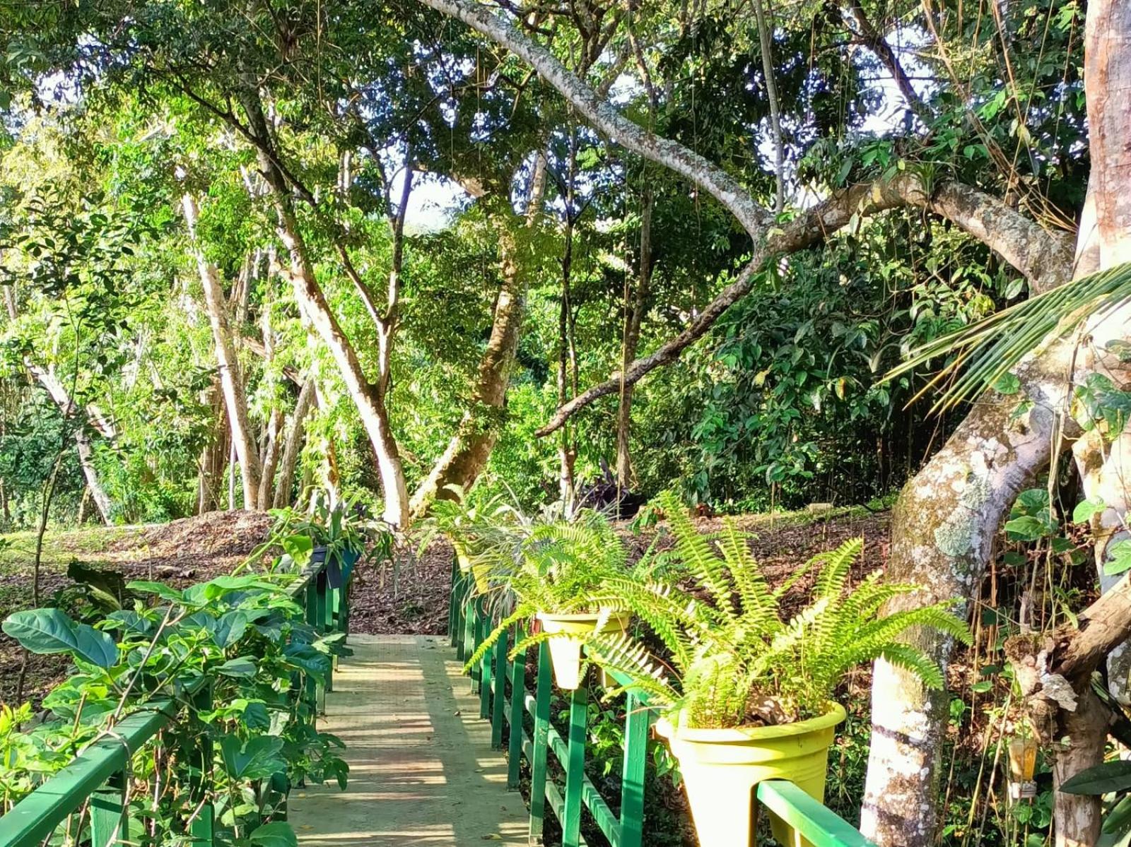 La Aguadita