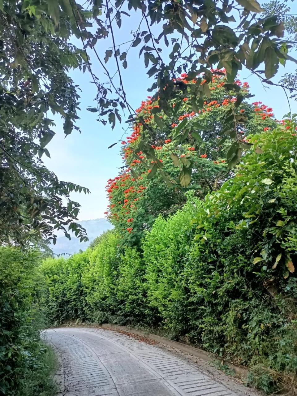 La Aguadita