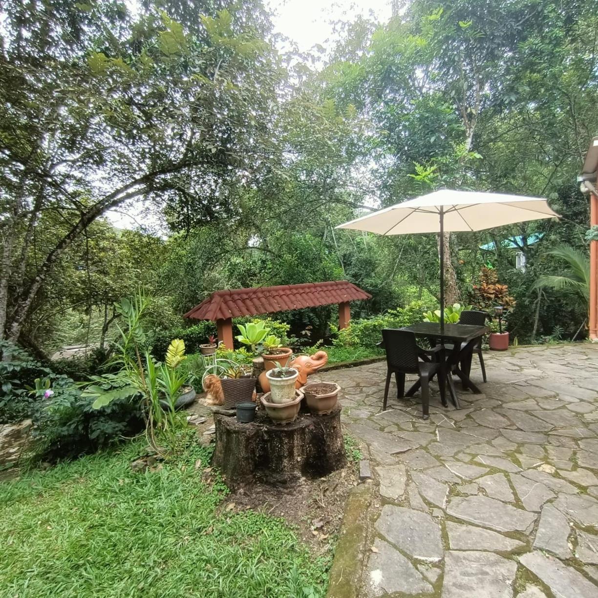 La Aguadita